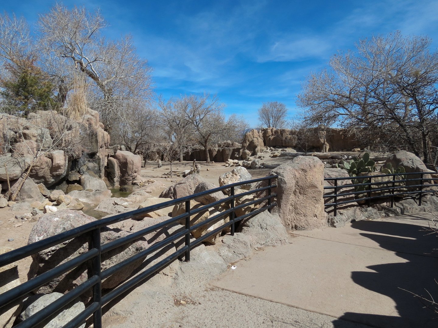 Africa - Hartmann's Mountain Zebra Exhibit Viewing Area