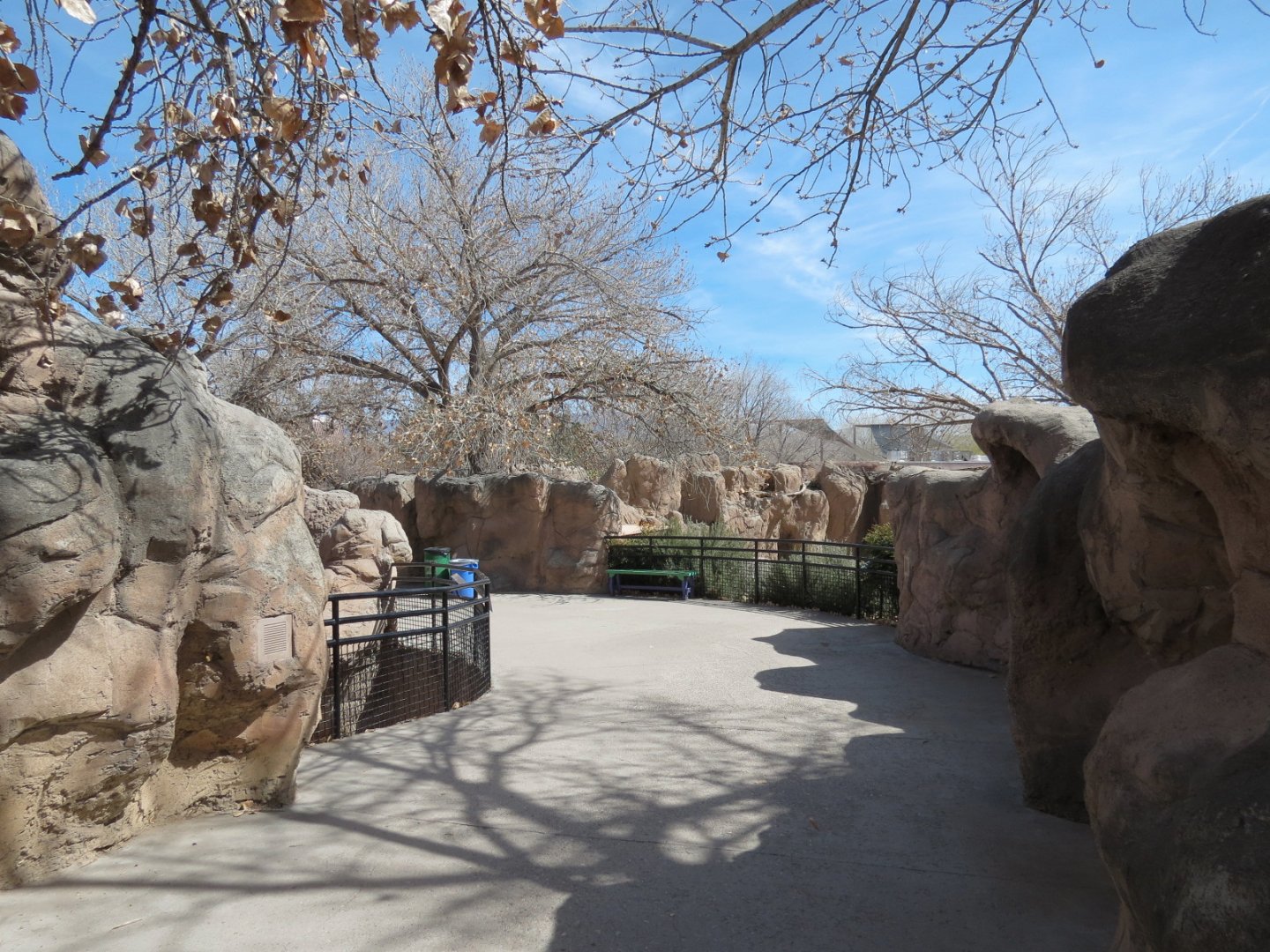 Africa - Hartmann's Mountain Zebra Exhibit Viewing Area