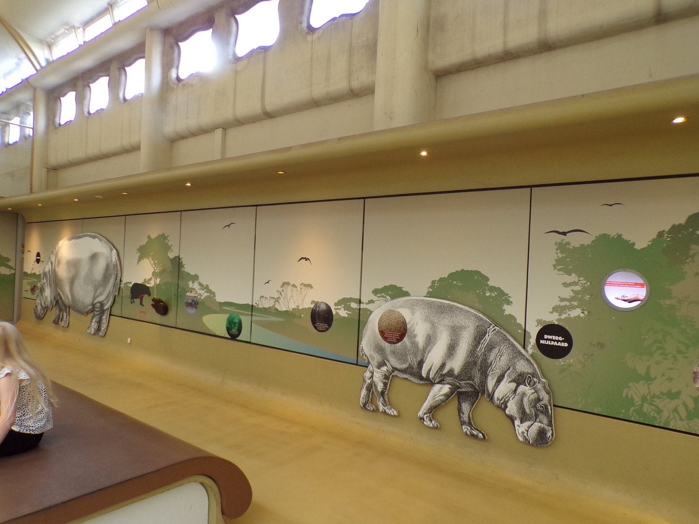 Africa- Hippo signage 13.7.23