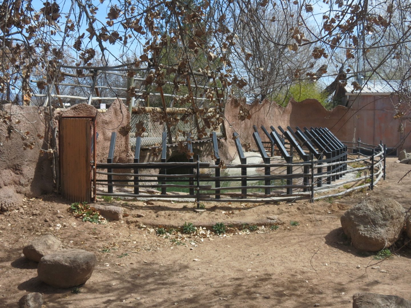 Africa - Hippopotamus Exhibit