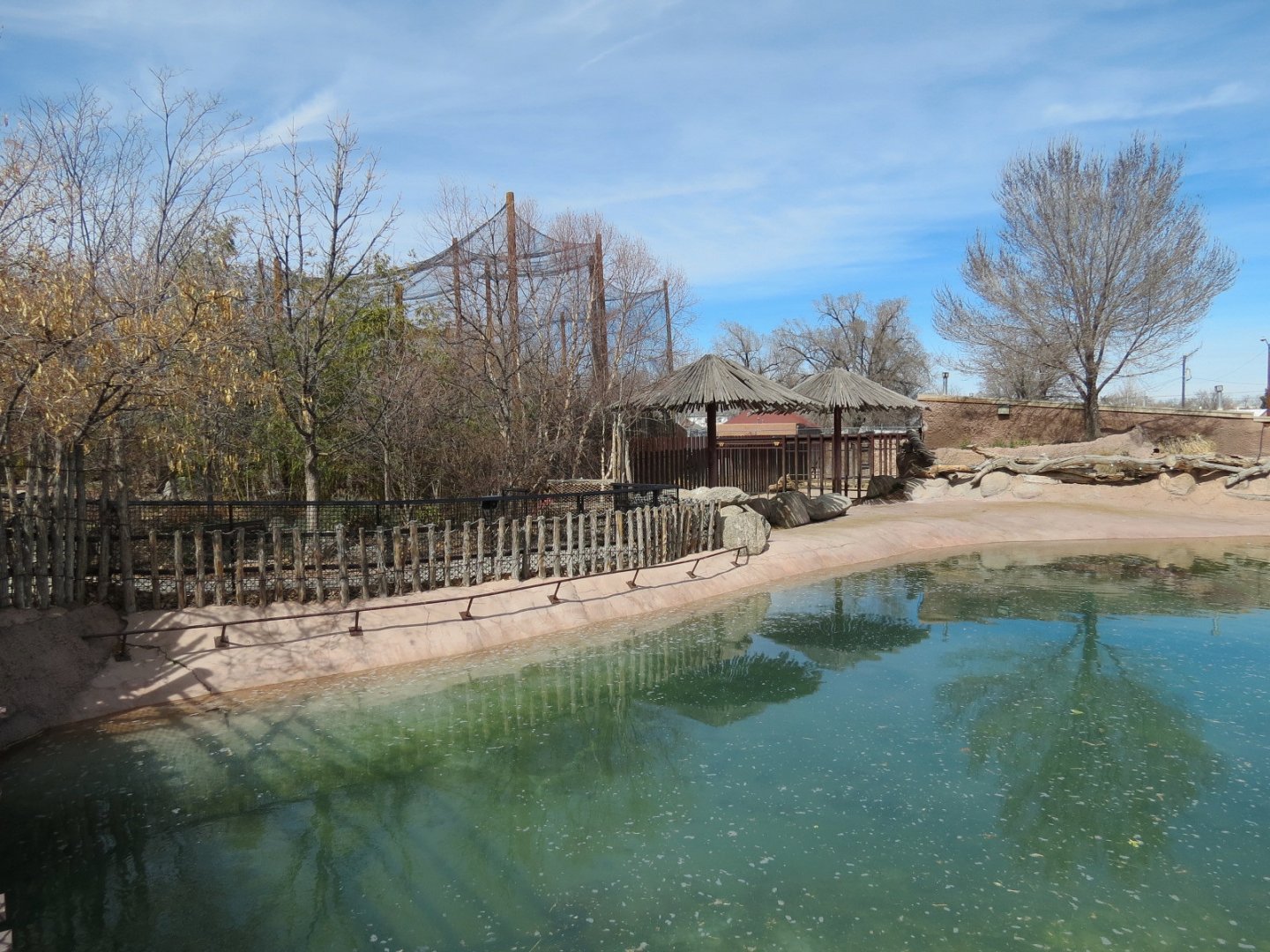 Africa - Hippopotamus Exhibit