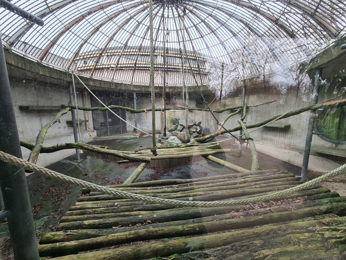 Africa - Historic gorilla habitat, now separation enclosure