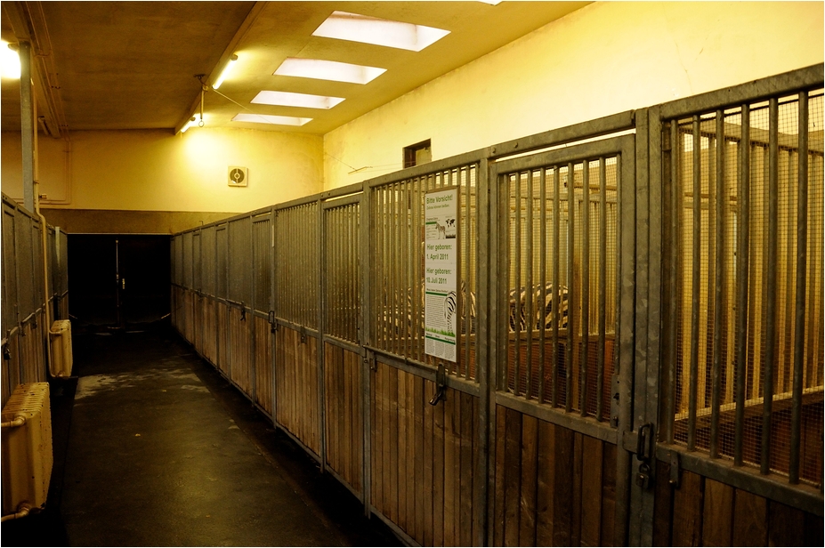 Africa-house at Hamburg