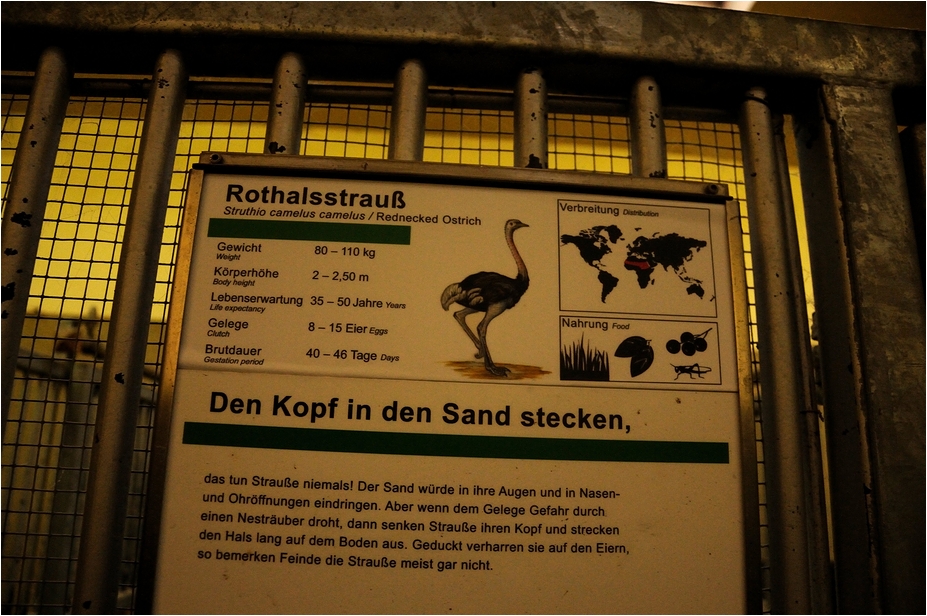 Africa-house at Hamburg