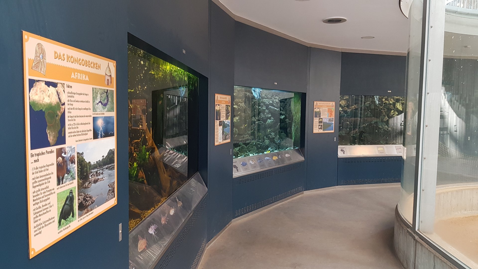 Africa house - big aquariums