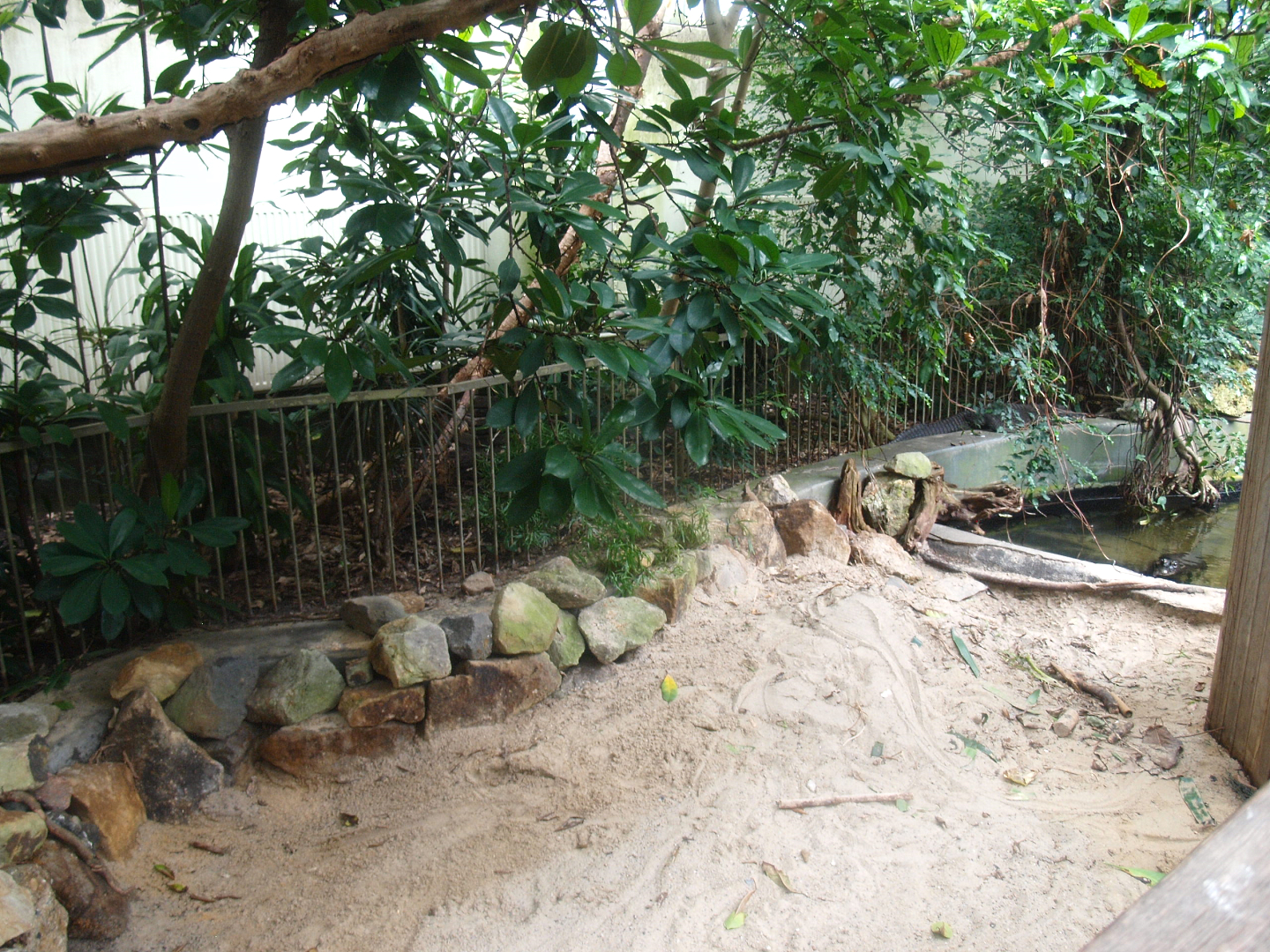 Africa House - Dwarf crocodile exhibit, 2015-07-19