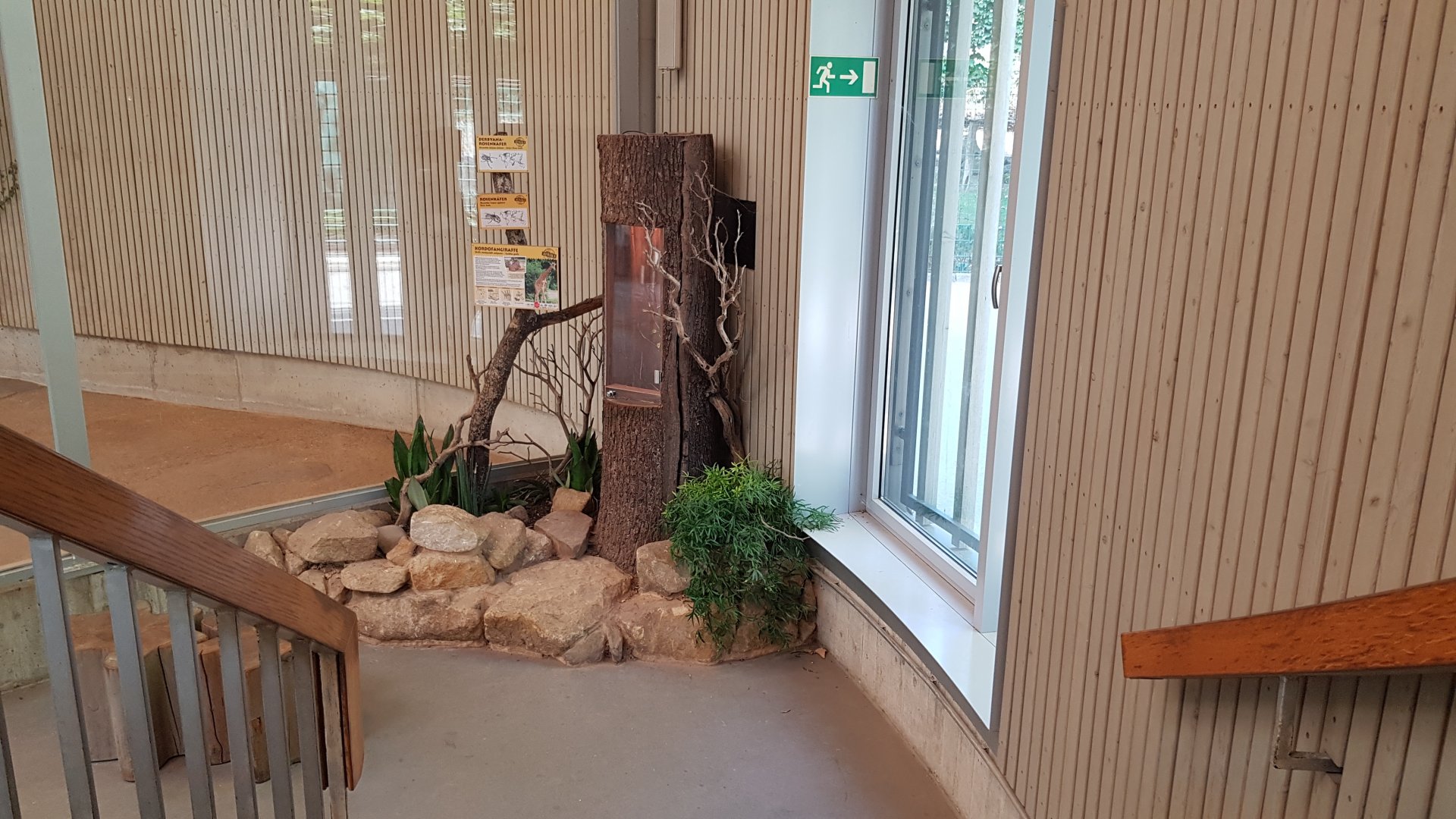 Africa house - Flower chafer exhibit