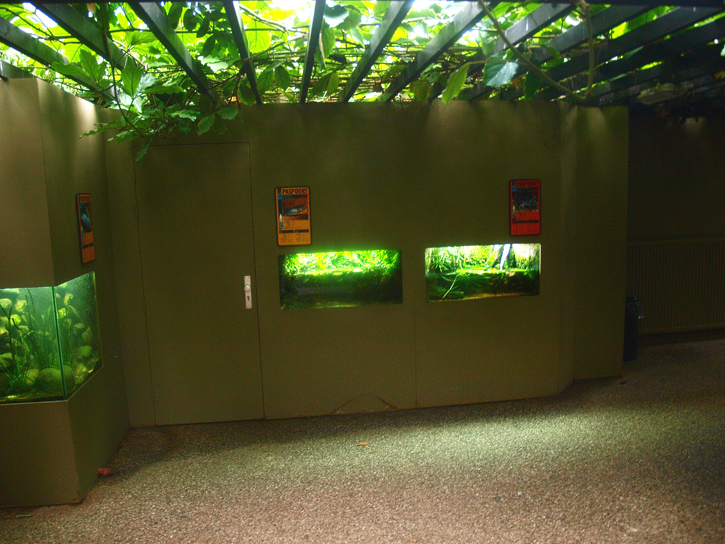 Africa House - Freshwater tanks, 2015-07-19