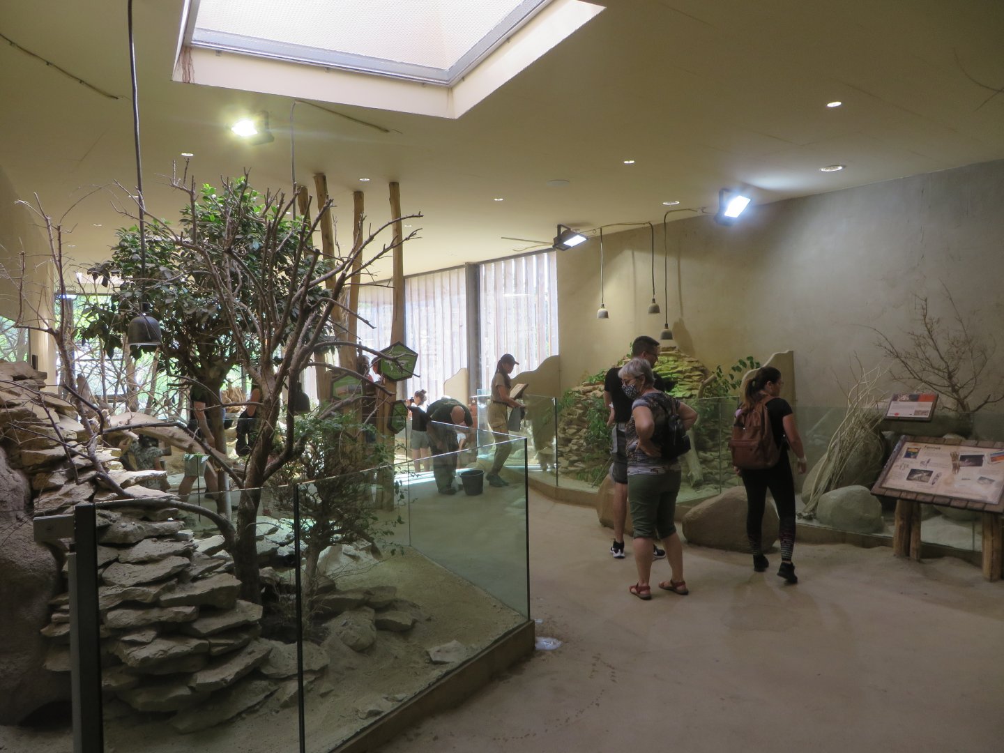 Africa house - general view