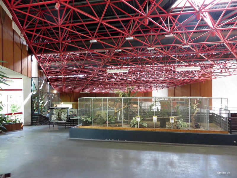 Africa House indoor - bird cages with amazones (2014)