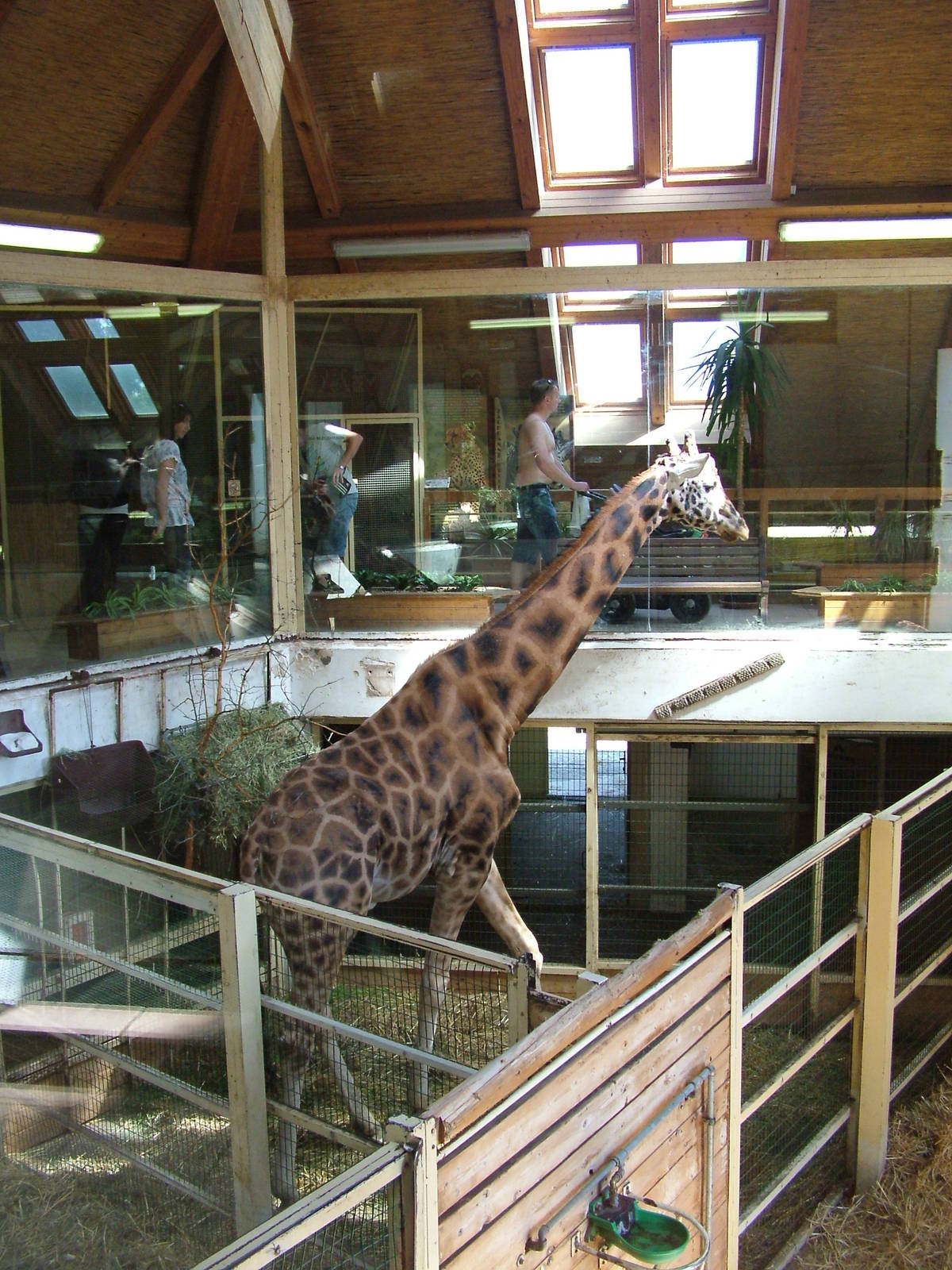 Africa House interior at Zlin, 28/05/10