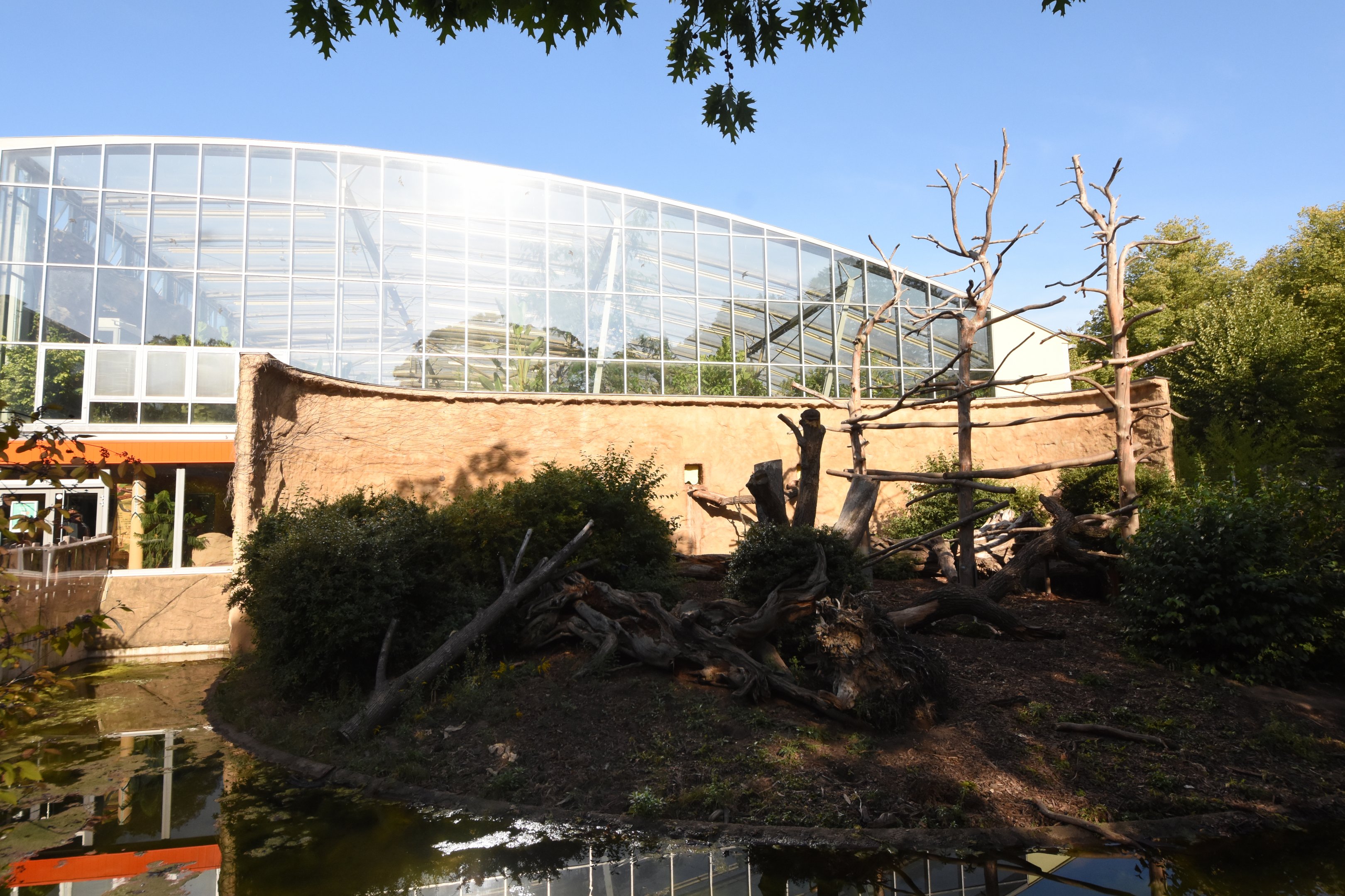 Africa house - Mandrill island