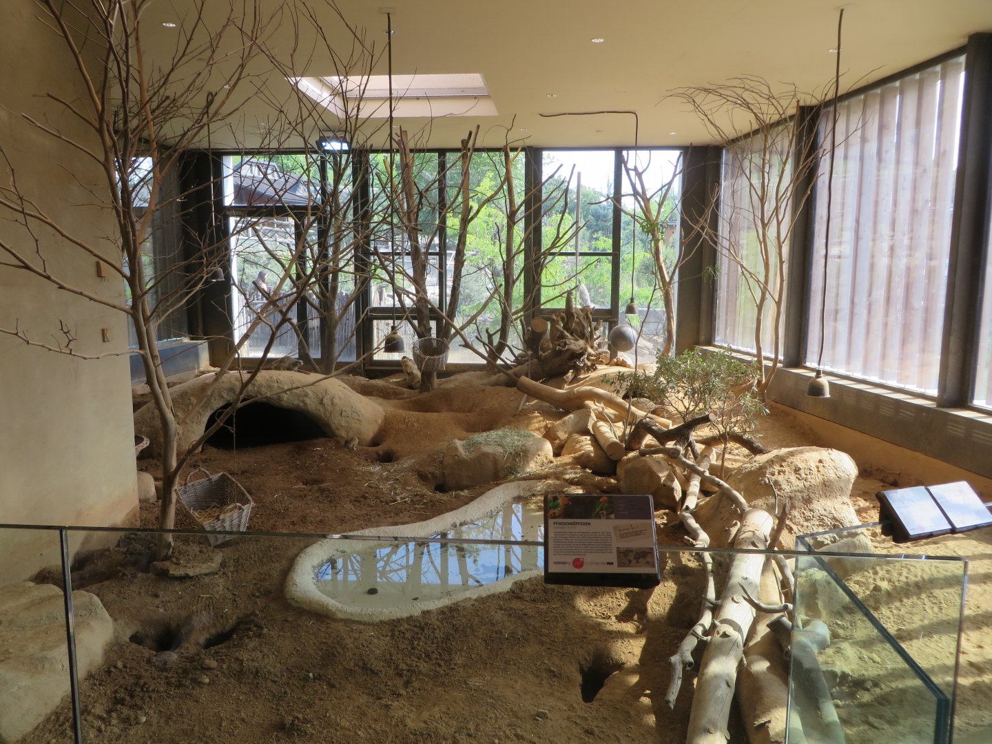 Africa house - Meerkat & lovebird enclosure