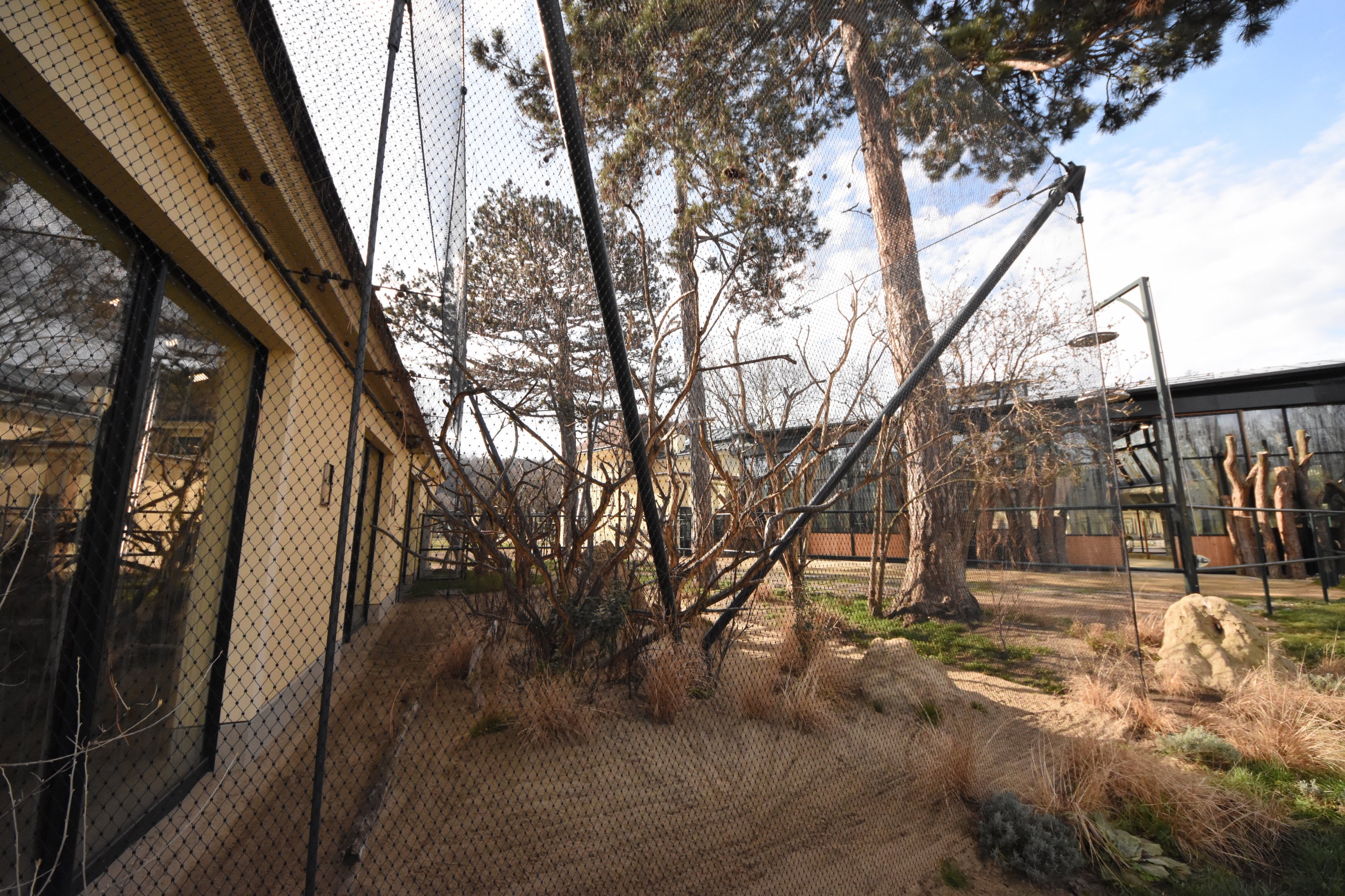 Africa house - Mongoose + Hornbill