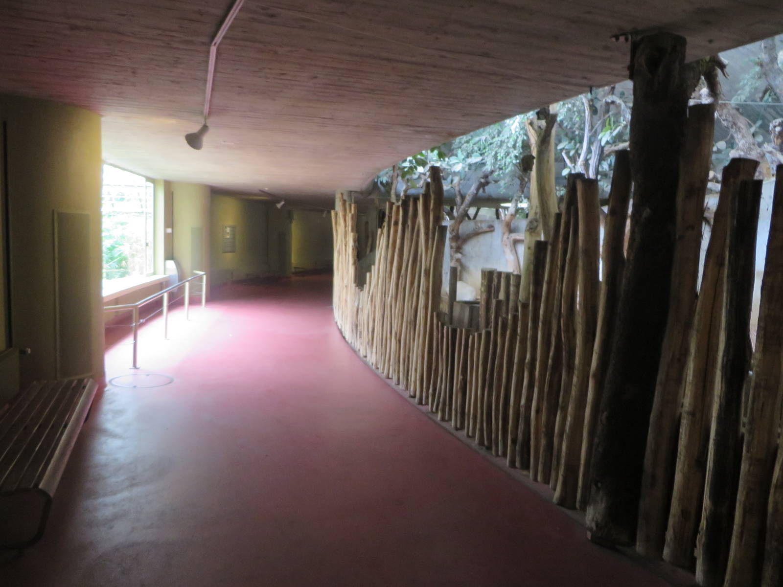 Africa house - soon to be renovated