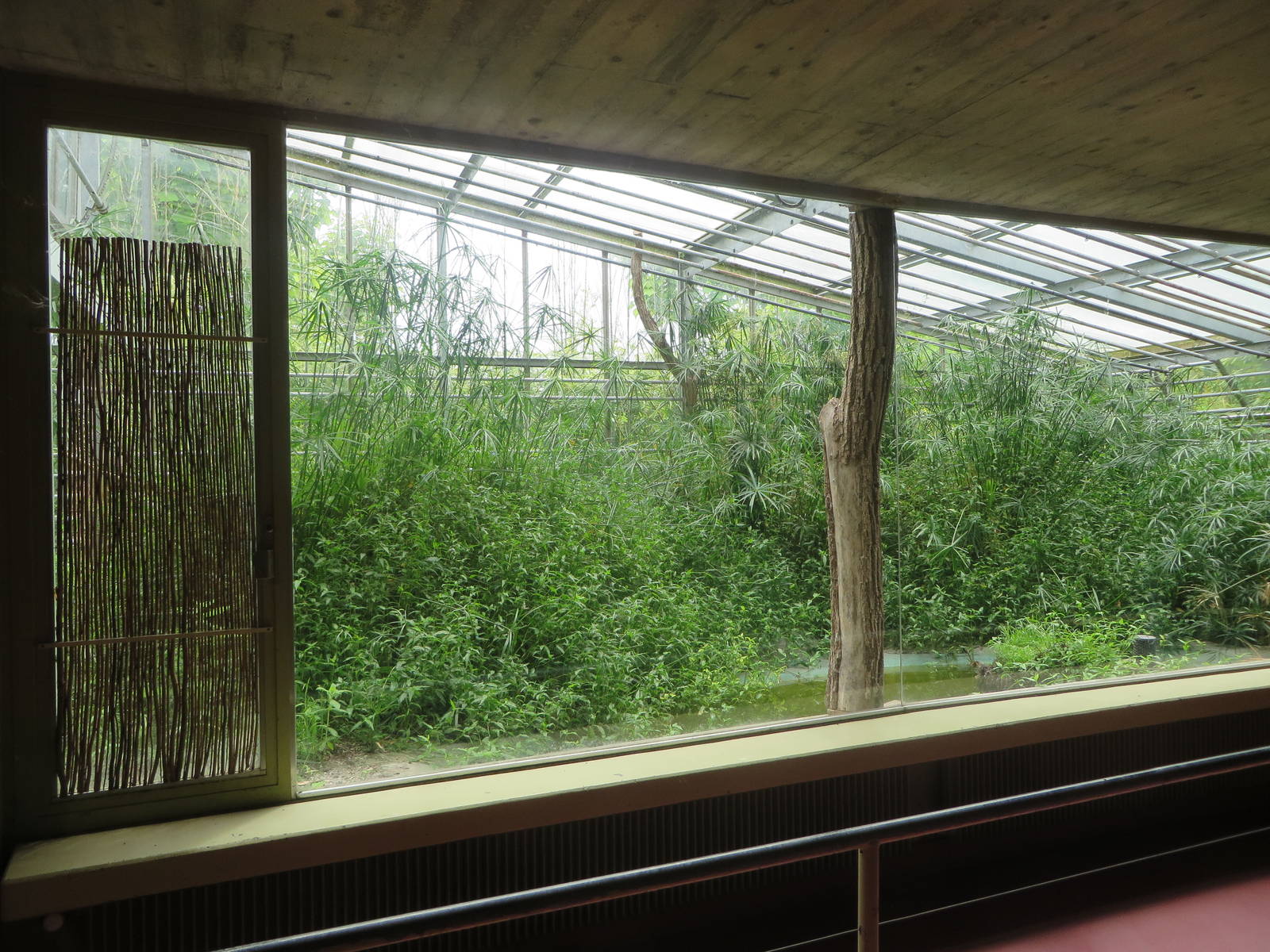 Africa house - soon to be renovated