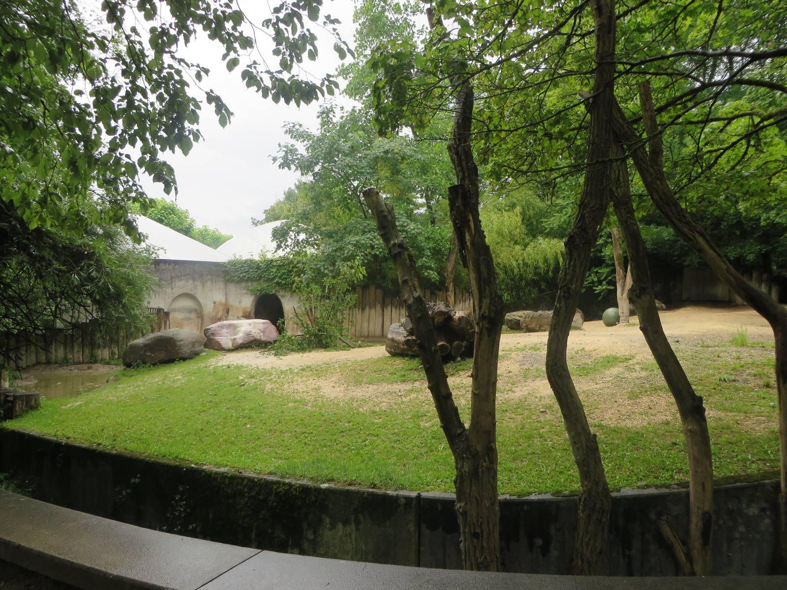 Africa house - soon to be renovated