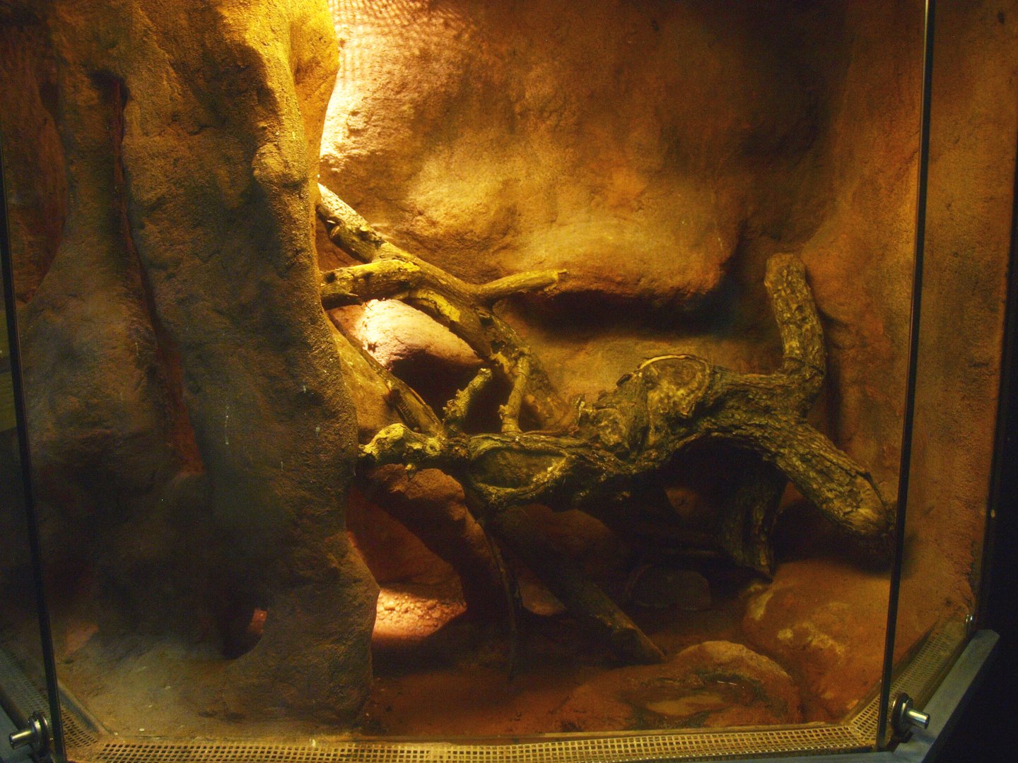 Africa House - Terrarium, 2015-07-19