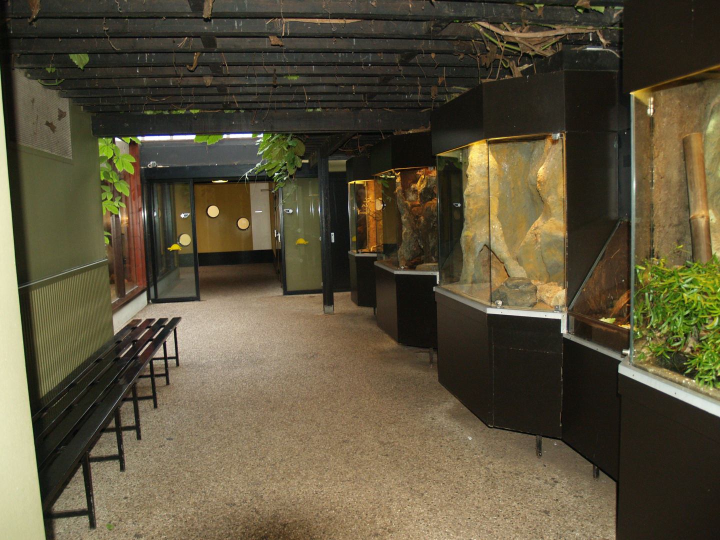 Africa house terrarium area, 2008-03-01