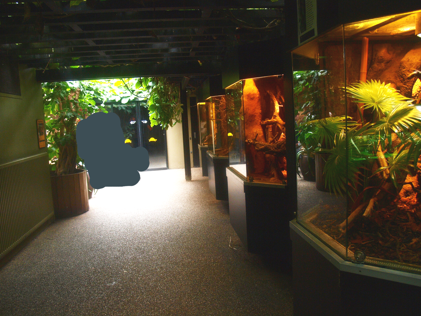Africa House - Terrarium corridor, 2015-07-19