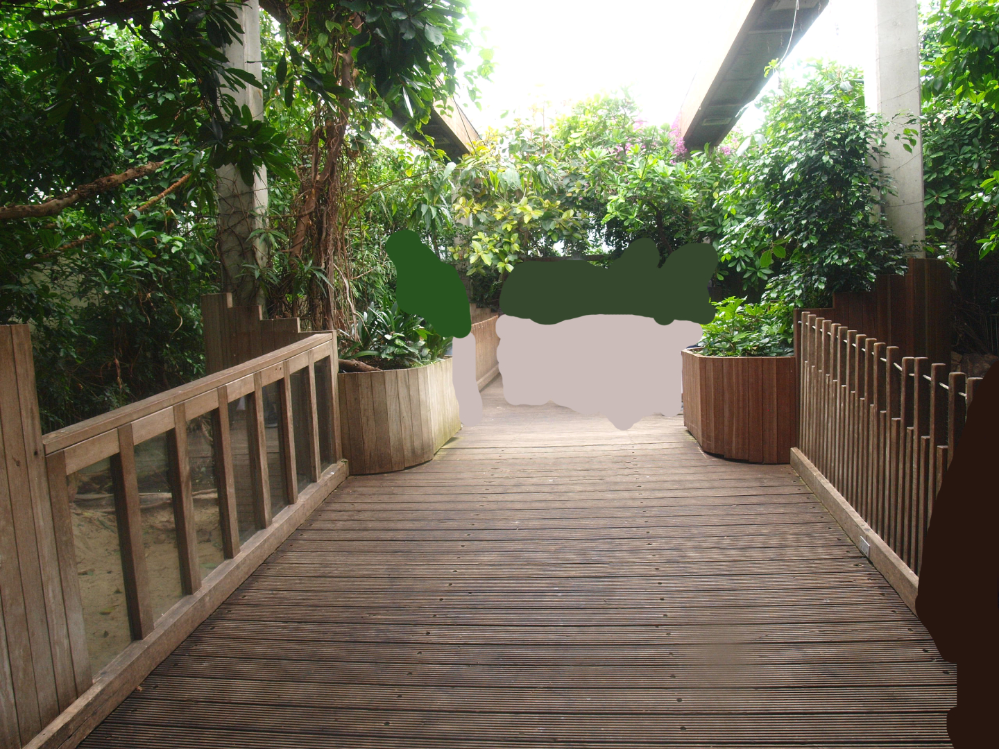 Africa House - Walkway and viewing areas for crocodile exhibits, 2015-07-19