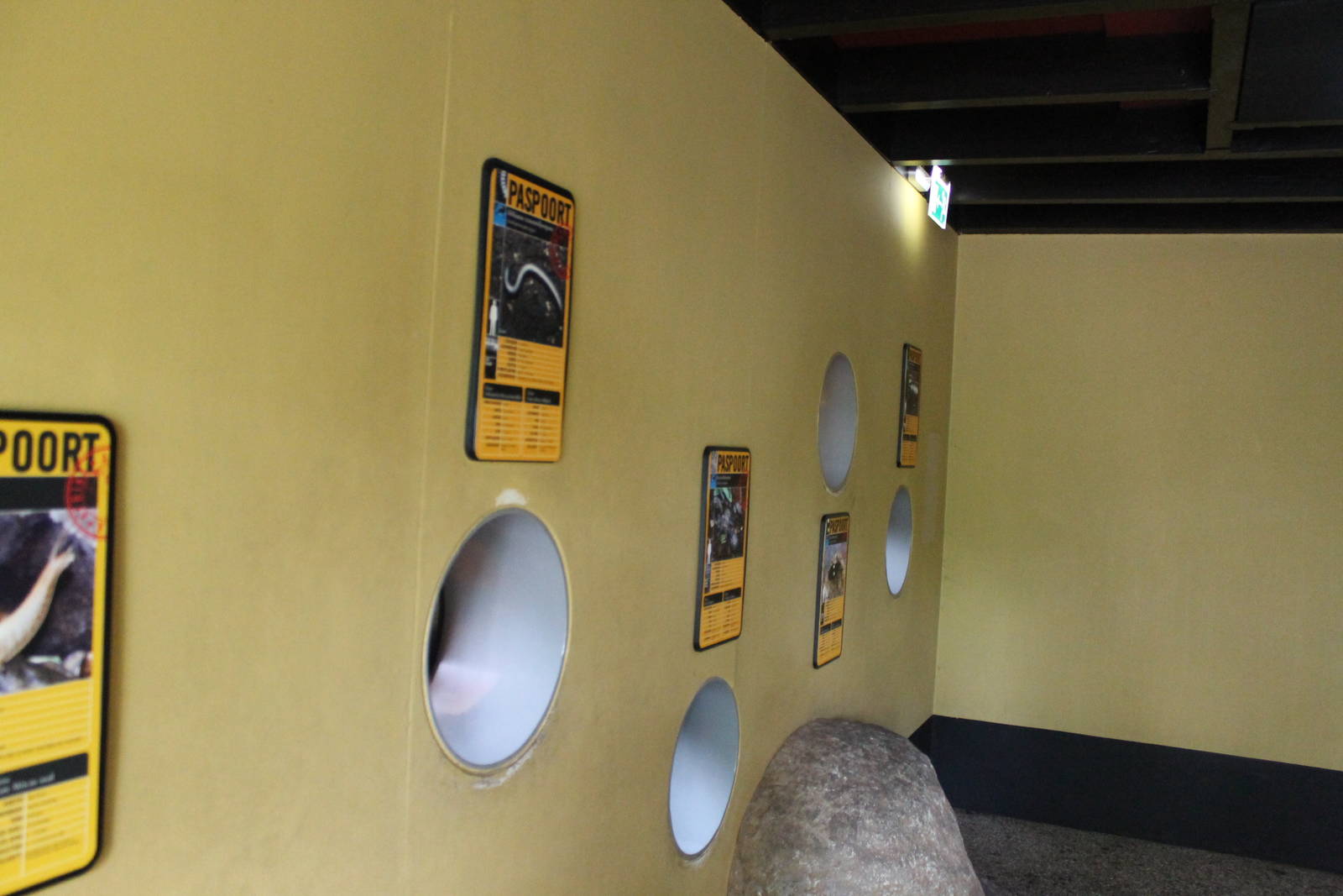 Africa House - Wall with invertebrate exhibits