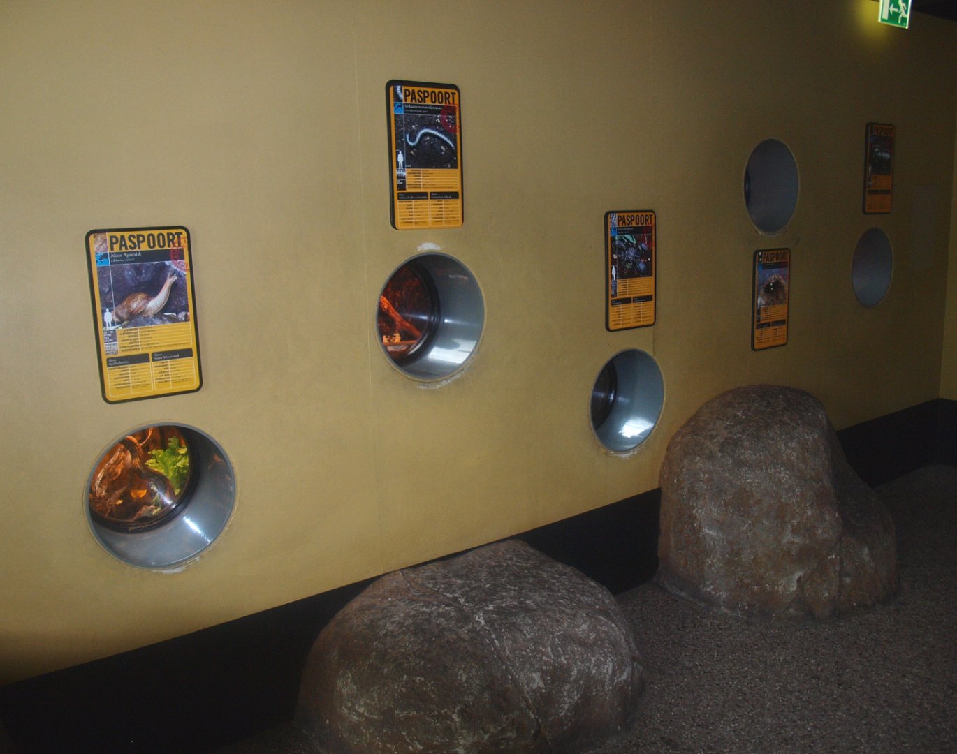 Africa House - Wall with invertebrate terrariums, 2015-07-19