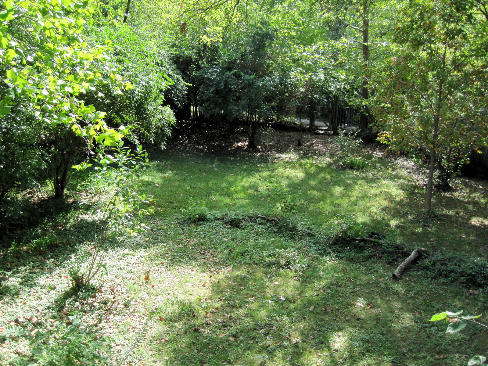 Africa-Kori Bustard Exhibit