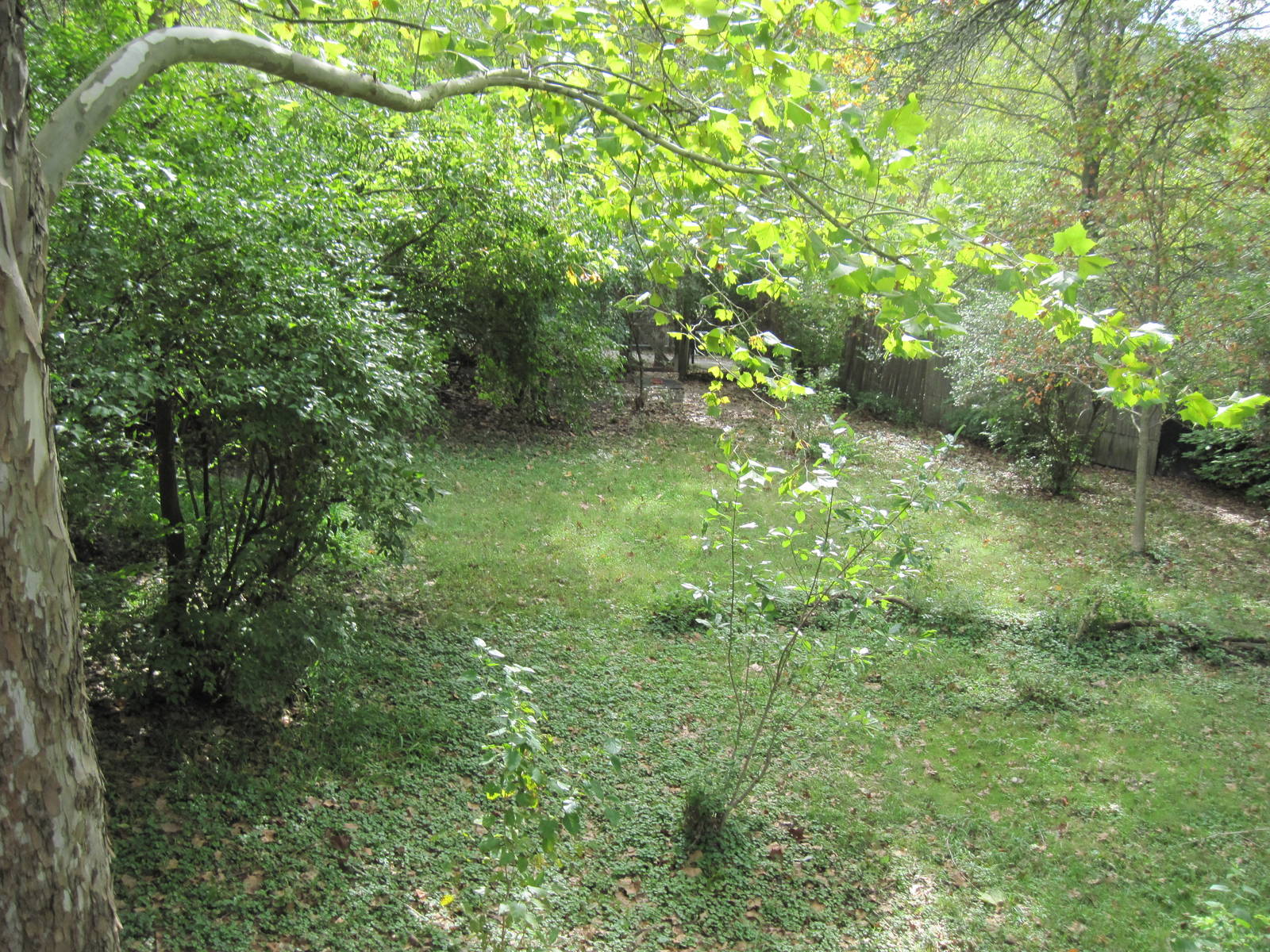 Africa-Kori Bustard Exhibit