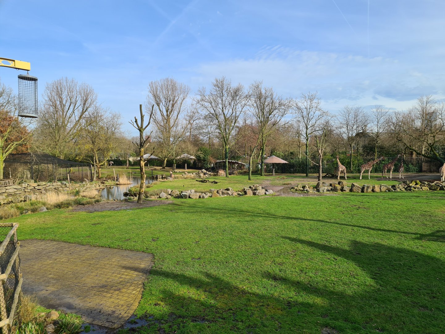 Africa - Larger Savannah enclosure