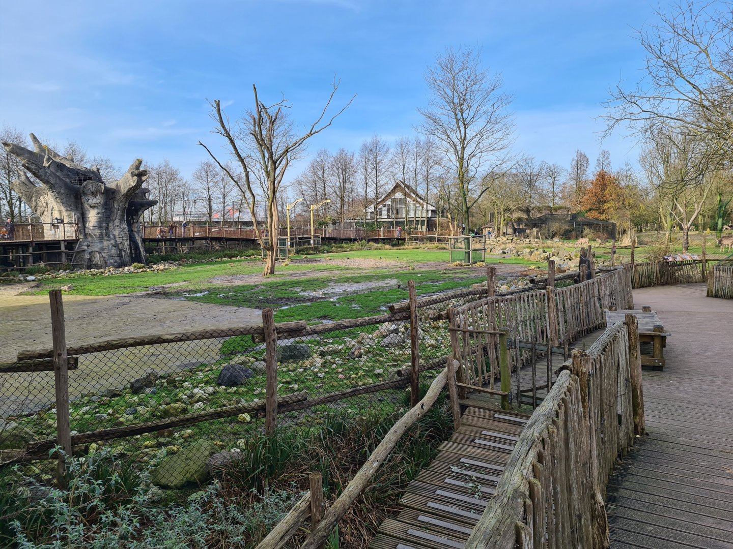 Africa - Larger Savannah enclosure