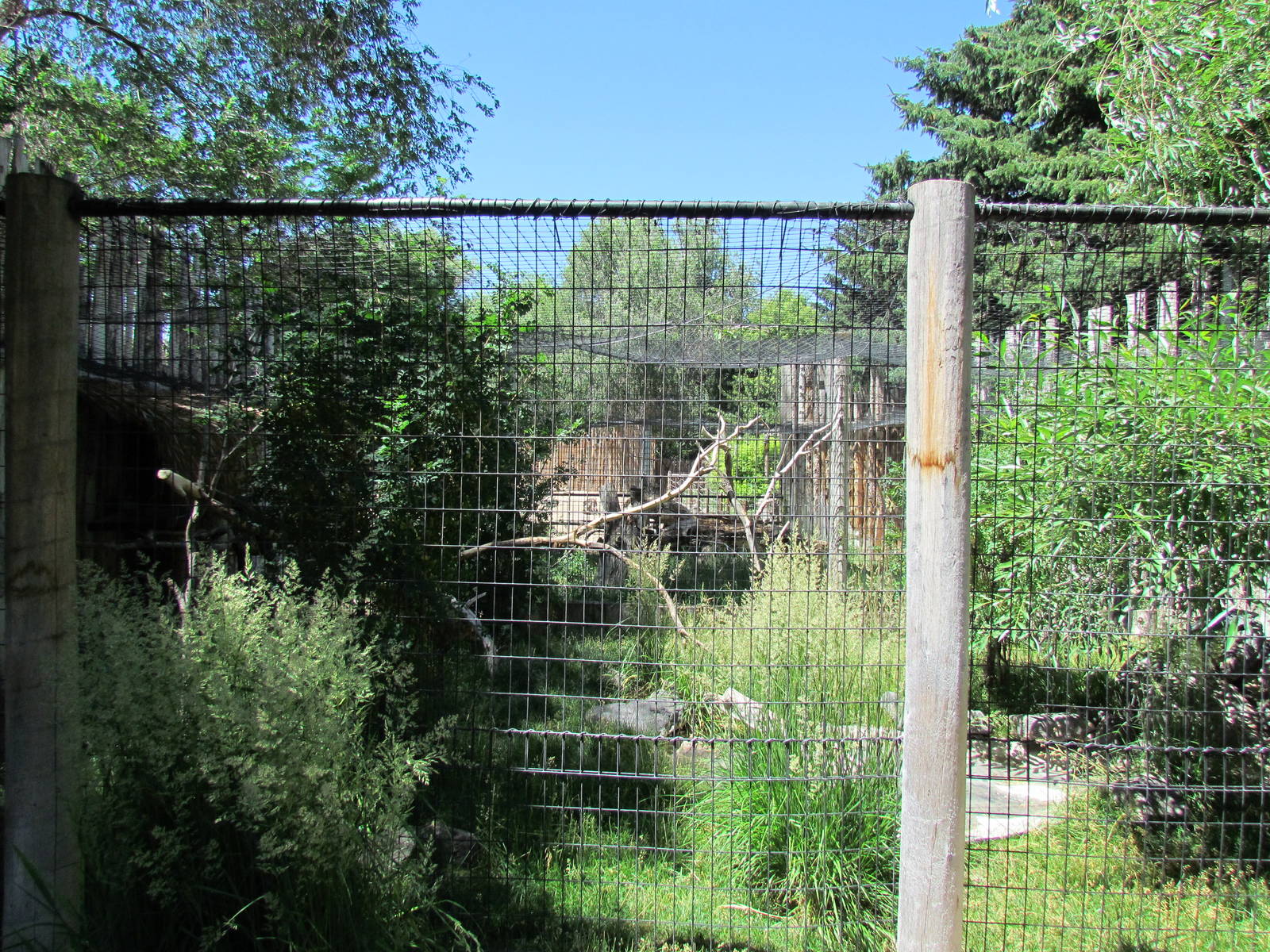 Africa - Layered Aviary