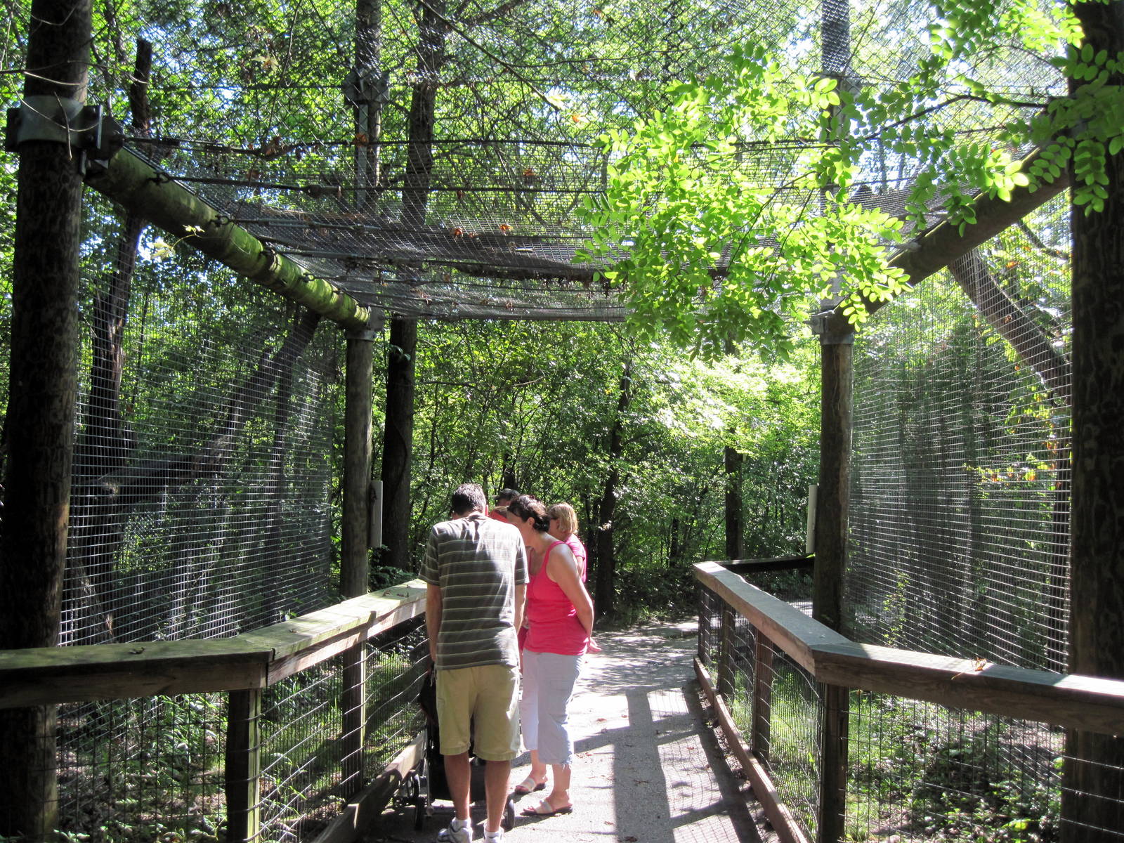 Africa-Leopard Exhibit