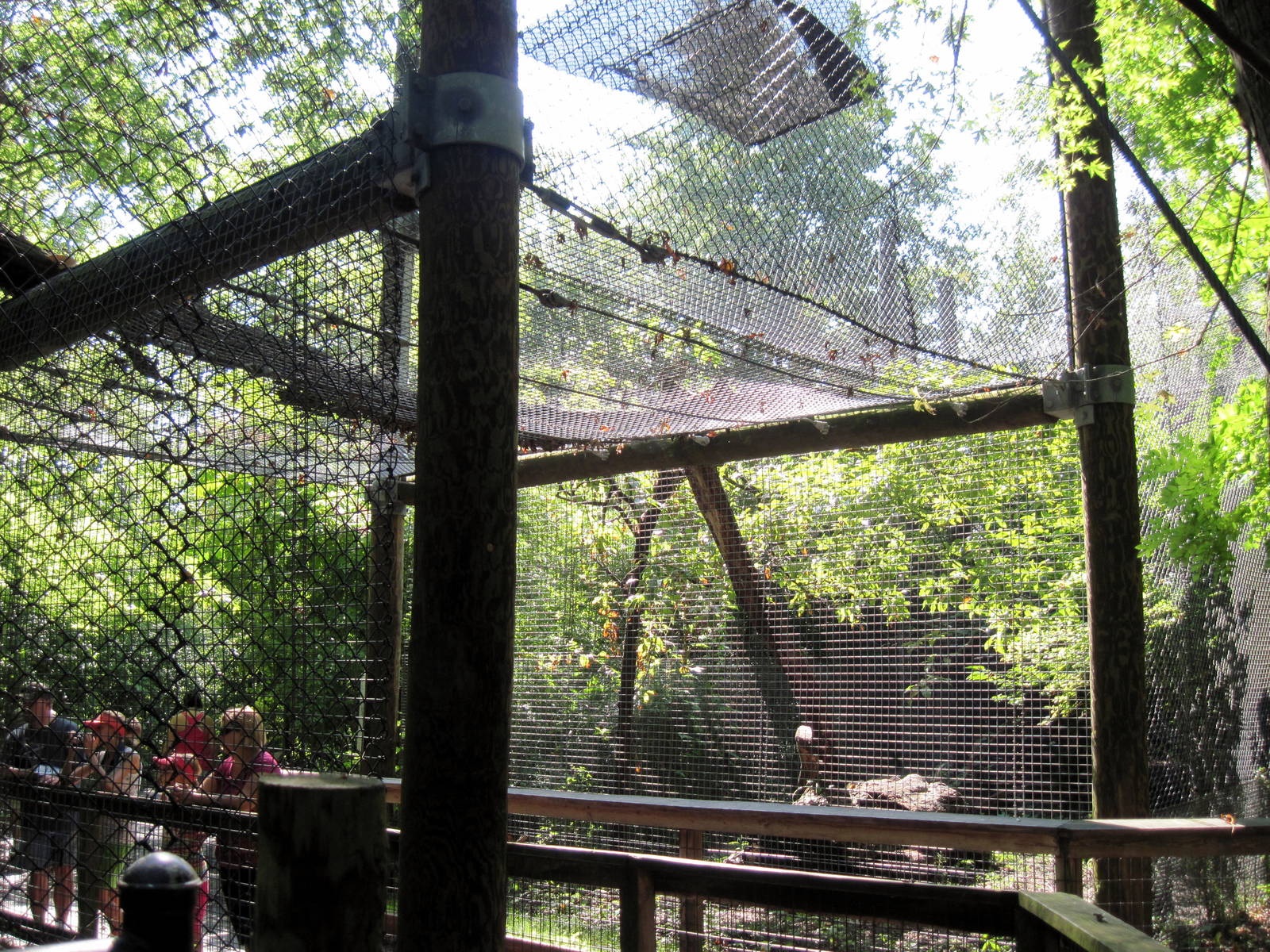 Africa-Leopard Exhibit