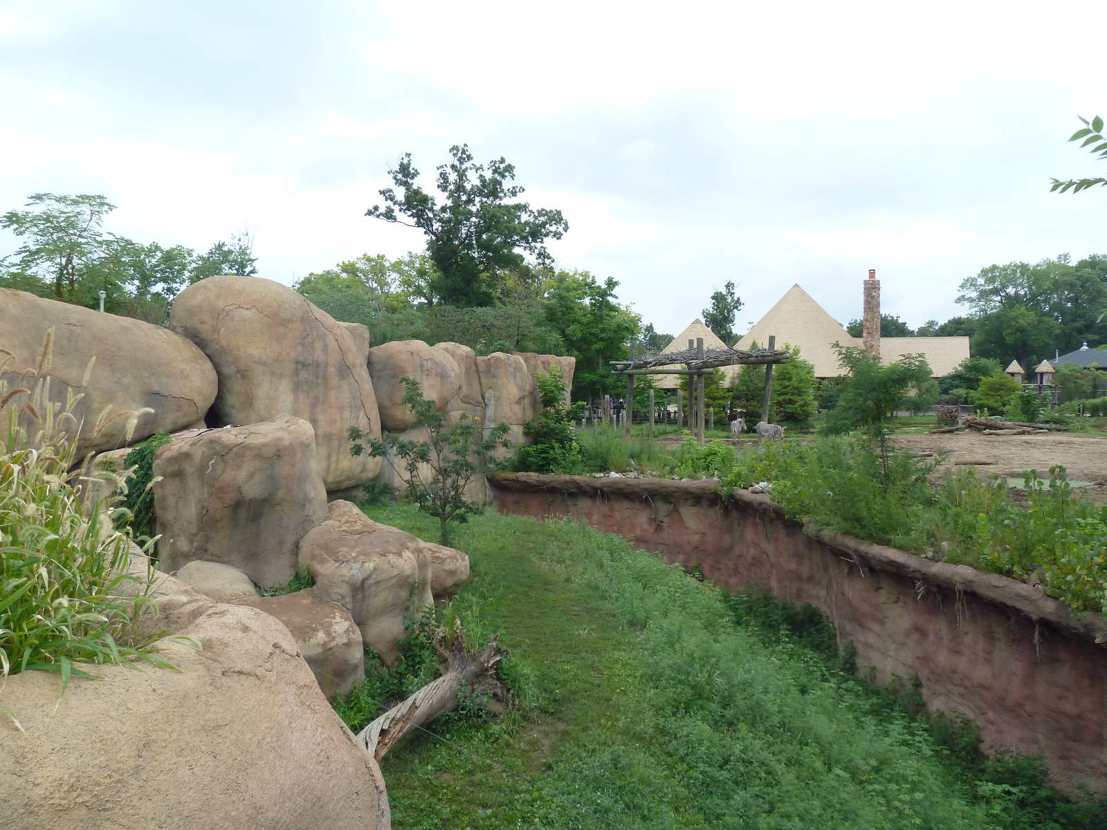 Africa! - Lion Exhibit (Side View)