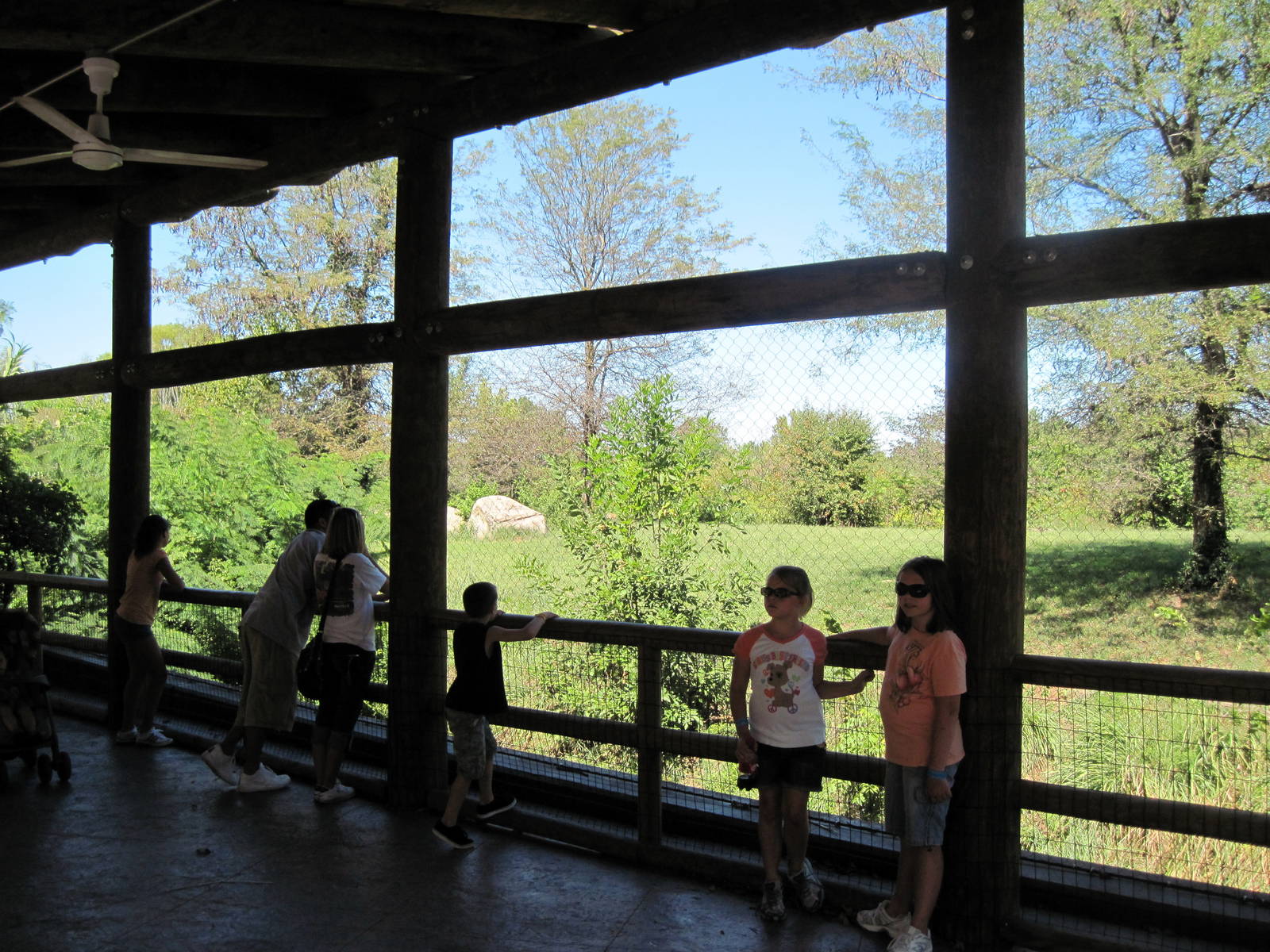 Africa-Lion Viewing Shelter