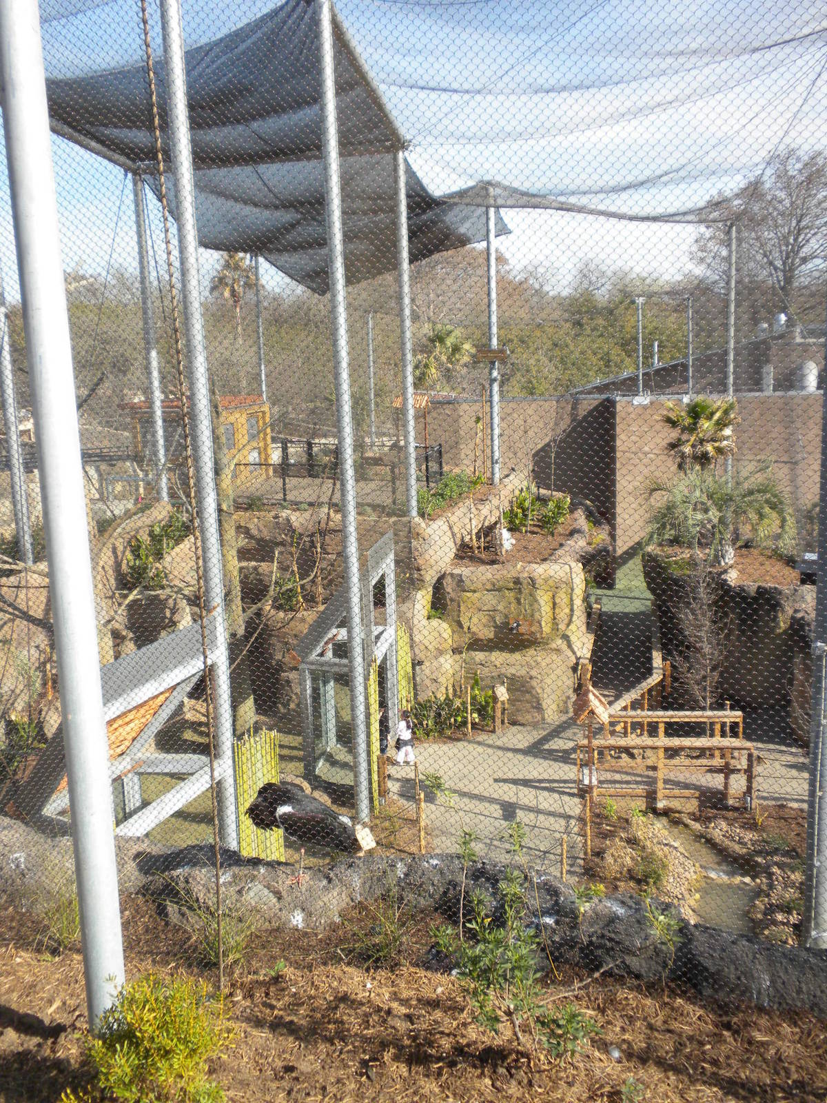 Africa Live 2 - Aviary and Monkey exhibit