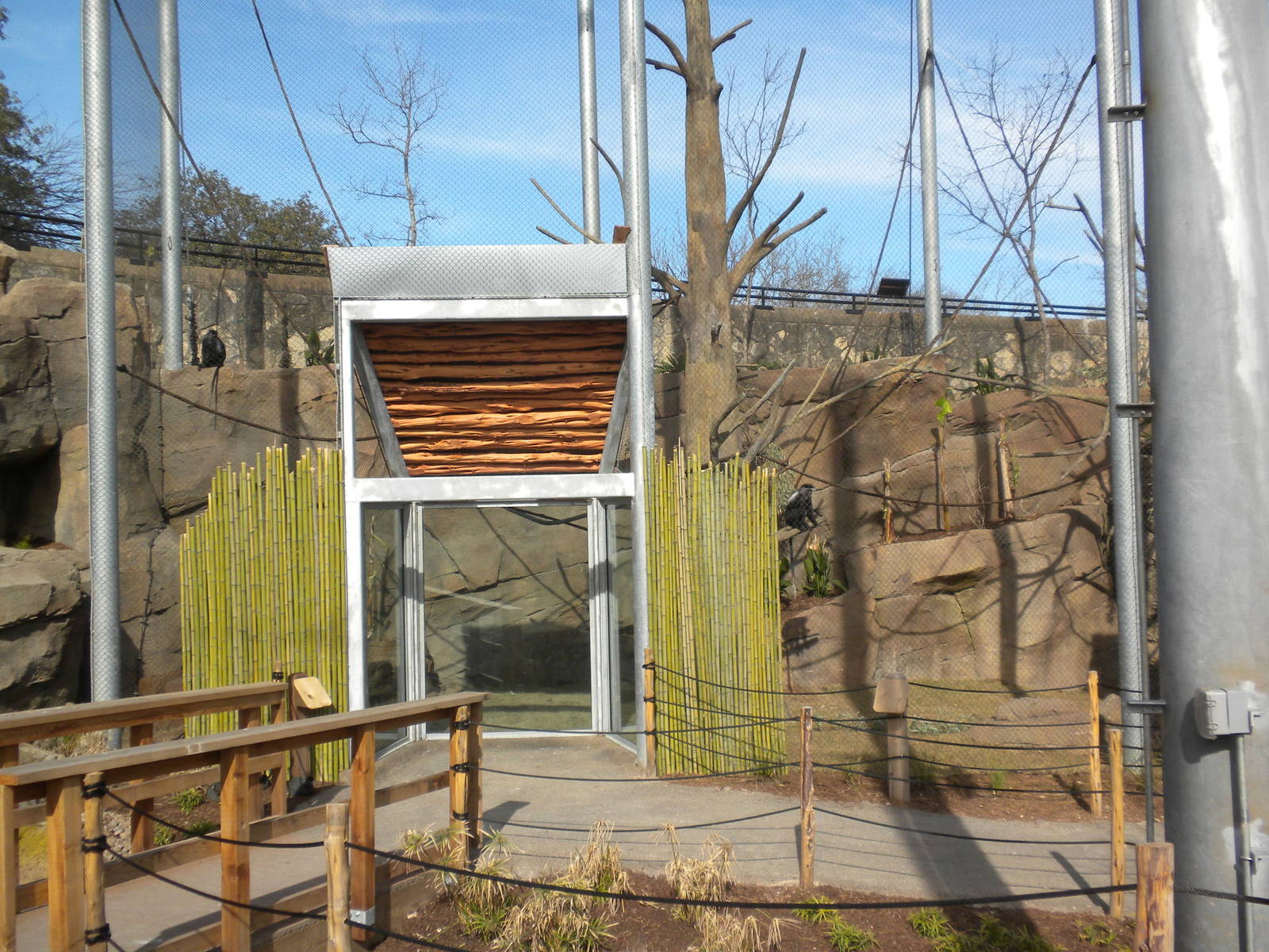 Africa Live 2 - Aviary and Monkeys