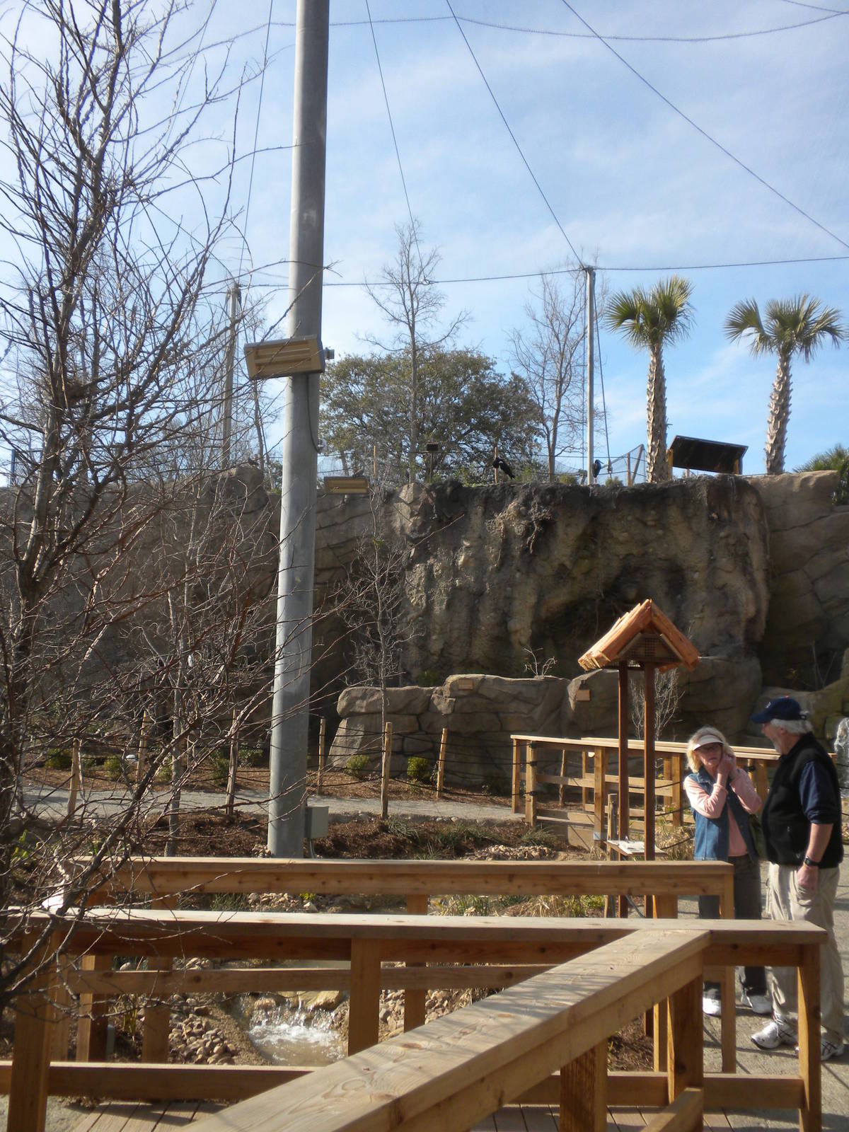 Africa Live 2 - Aviary