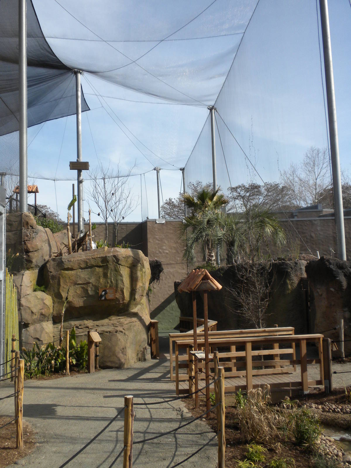 Africa Live 2 - Aviary