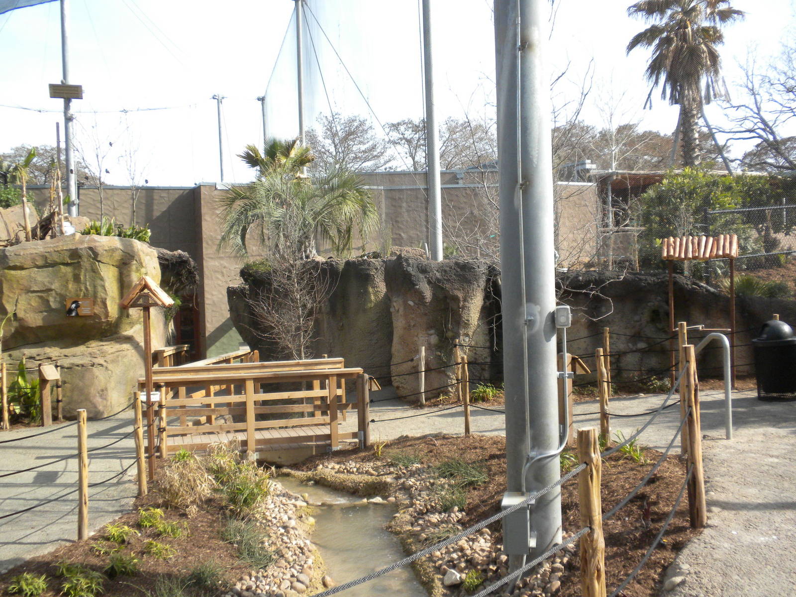 Africa Live 2 - Aviary