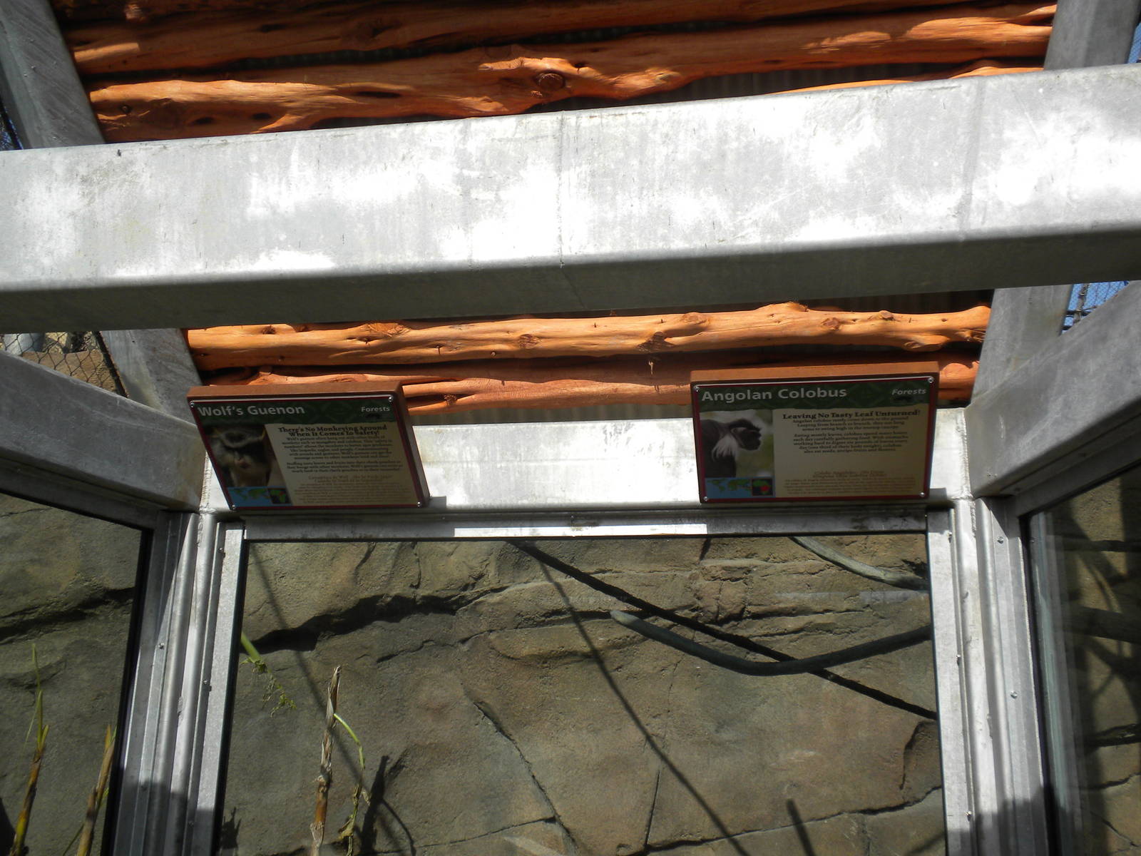 Africa Live 2 - Monkey exhibit