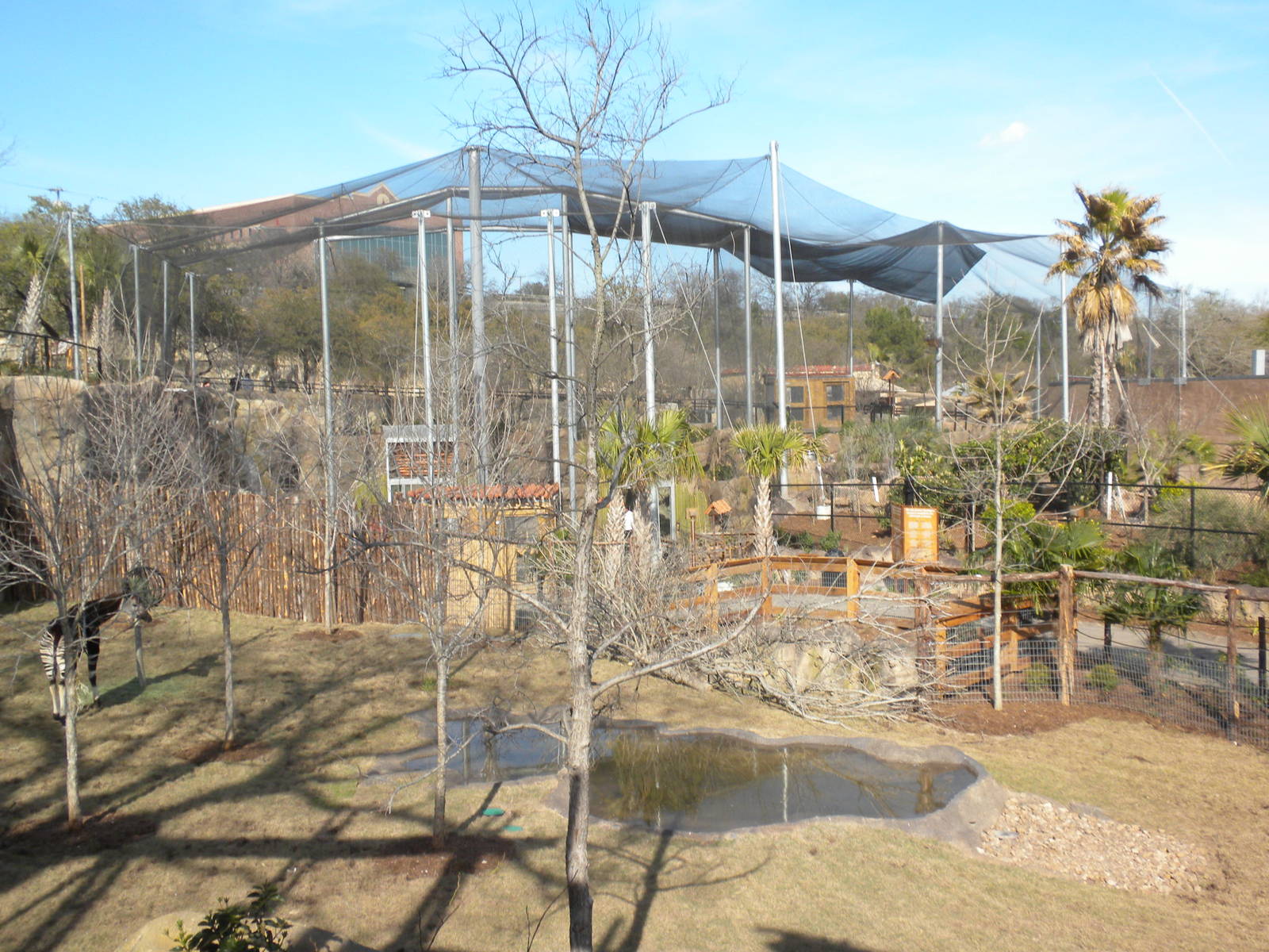 Africa Live 2 - Okapi and Aviary