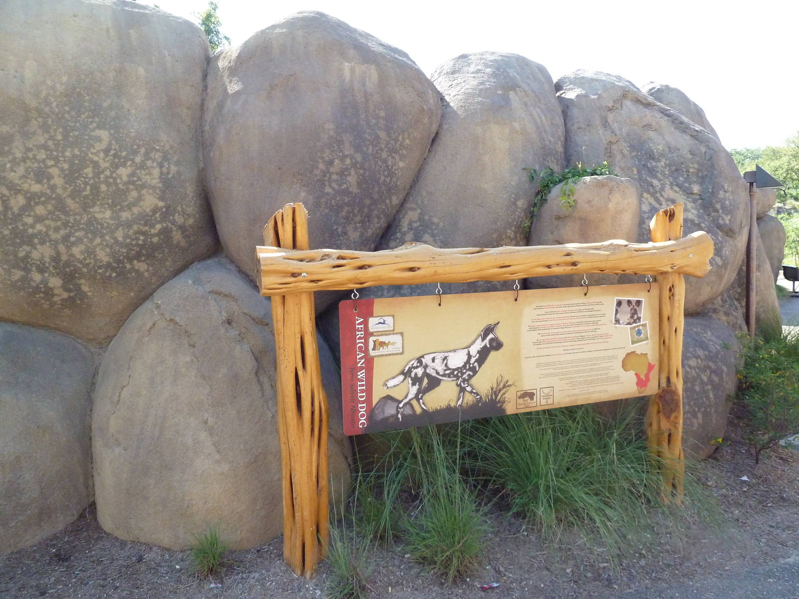 Africa Live - African Wild Dog Exhibit Sign