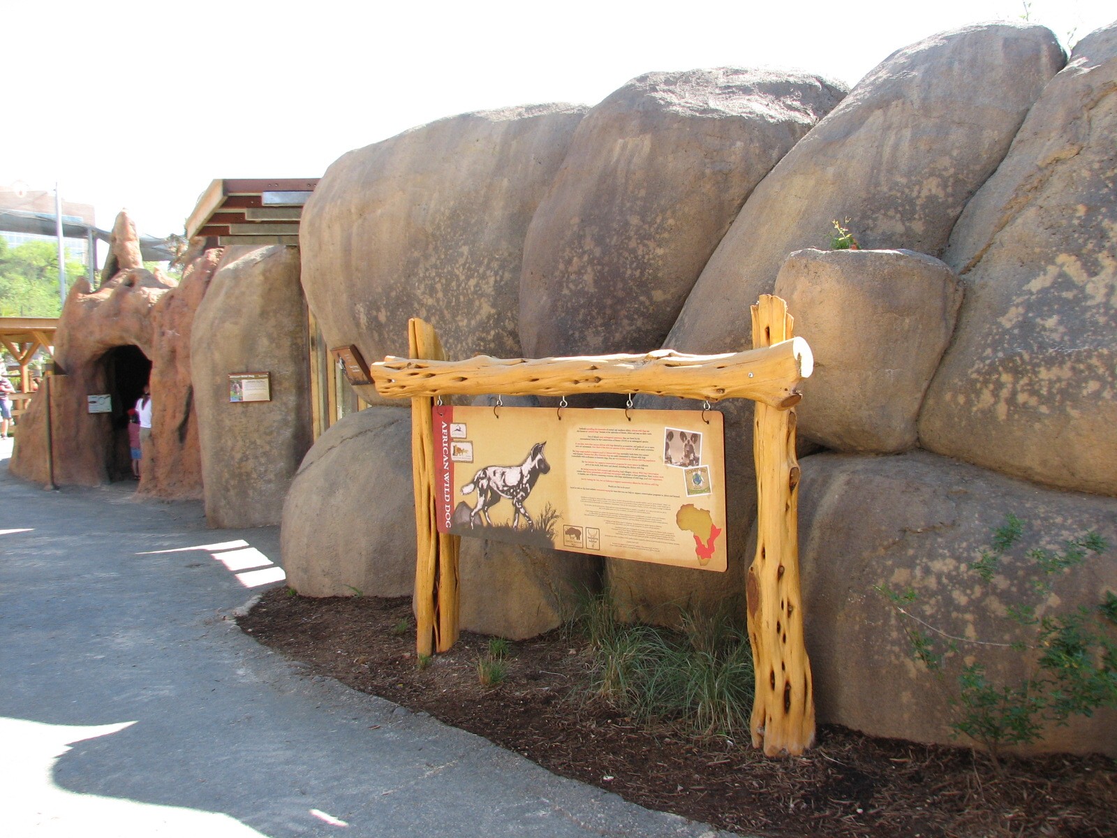 Africa Live - African Wild Dog Exhibit Sign