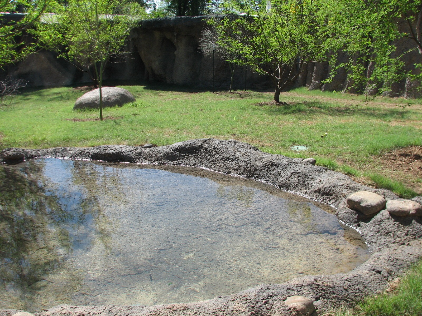 Africa Live - African Wild Dog Exhibit
