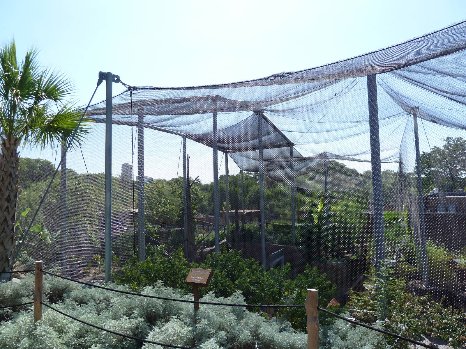 Africa Live - Angolan Colobus/Wolf's Guenon Exhibit