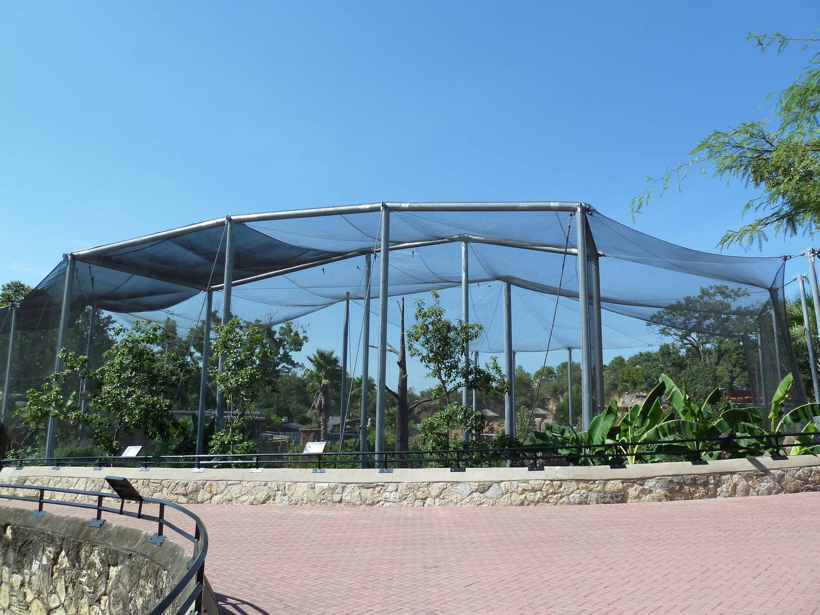 Africa Live - Angolan Colobus/Wolf's Guenon Exhibit