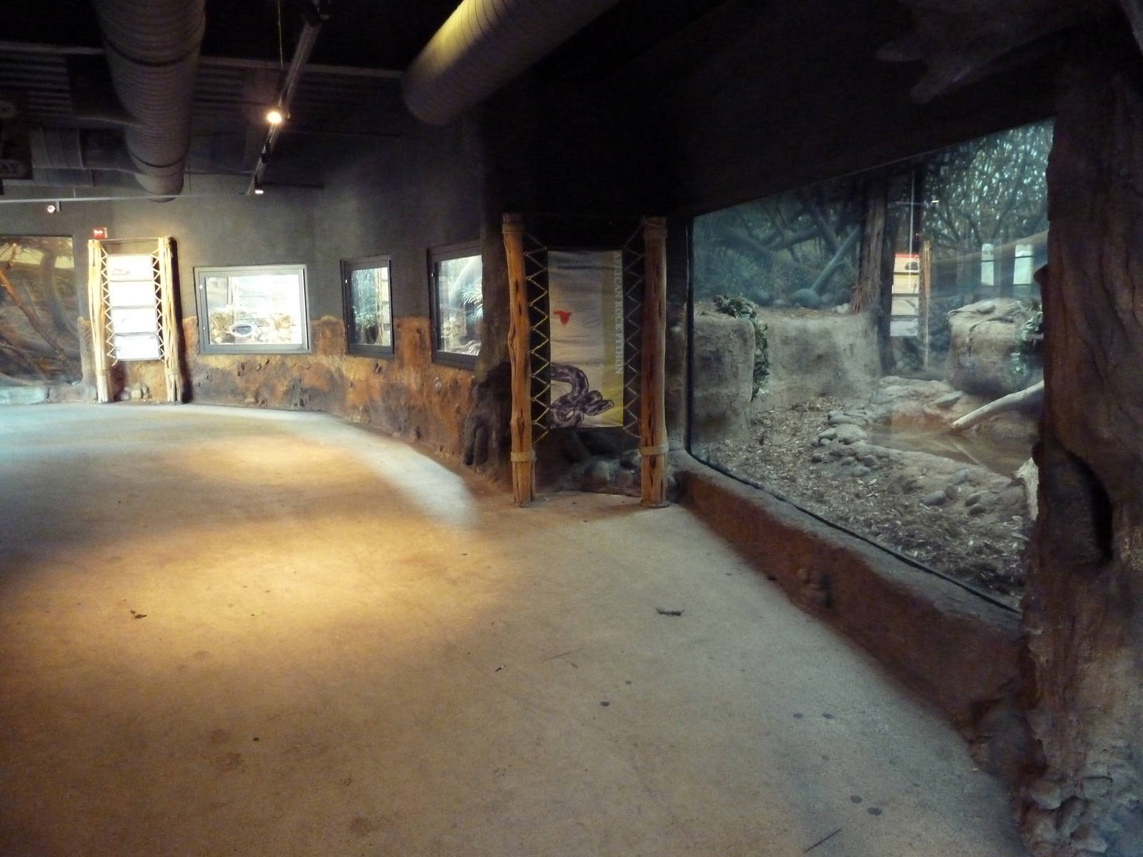 Africa Live - Assorted Exhibits