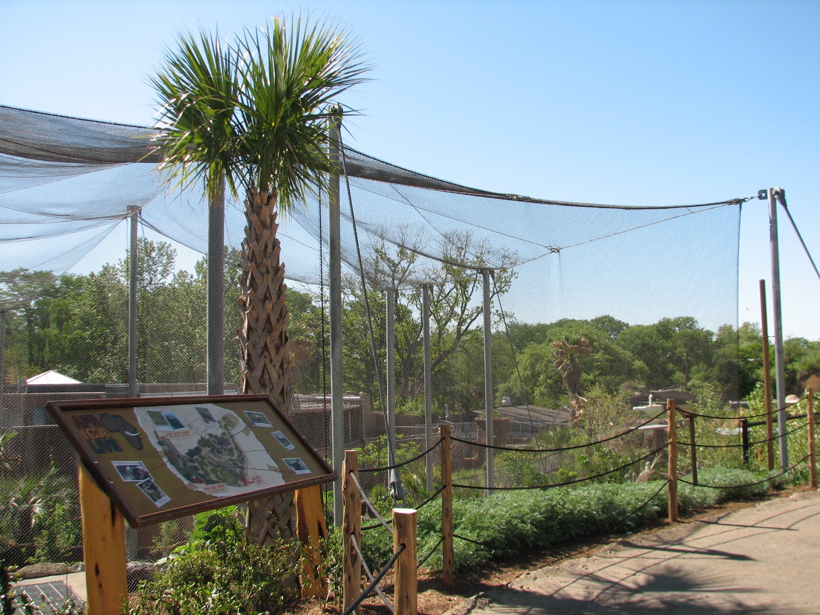 Africa Live - Aviary Top Viewing Area